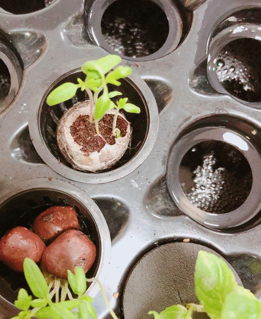DWC Cloner Rooting Recirculating System 24 Site Cutting Clone and Seeding Root 2 in 1 Deep Water Cloner 24 Site with Clear Humidity Propagation Dome