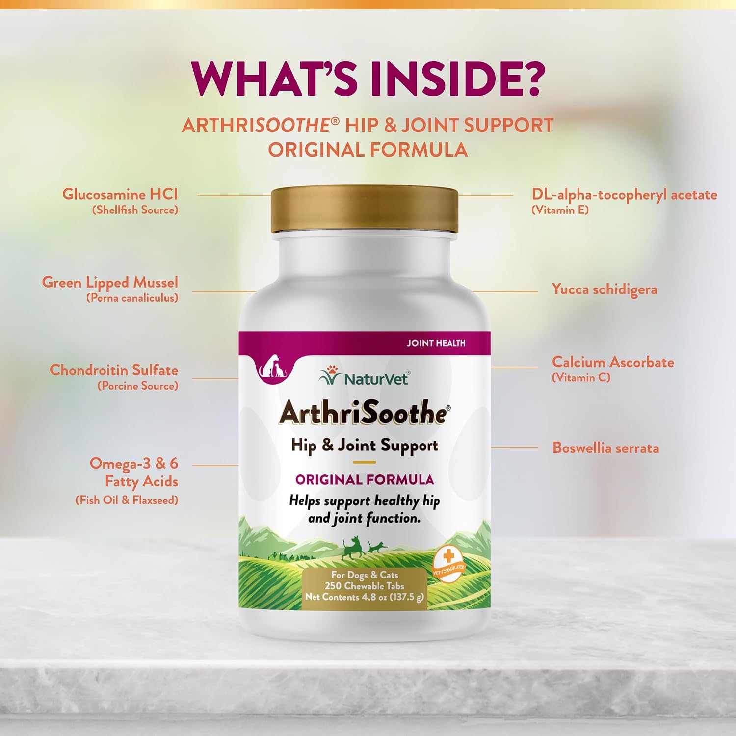NaturVet – Senior Wellness Hip & Joint Advanced Plus Omegas | Help Support Your Pet’s Healthy Hip & Joint Function | Supports Joints, Cartilage & Connective Tissues | 120 Soft Chews