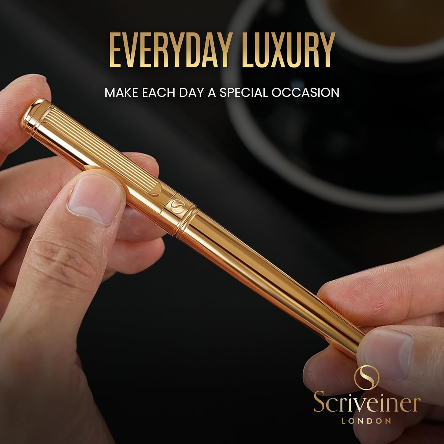 Scriveiner Silver Chrome Fountain Pen - Stunning Luxury Pen, Real Gold Finish Schmidt Gilded Nib (Medium), Best Pen Gift Set for Men & Women