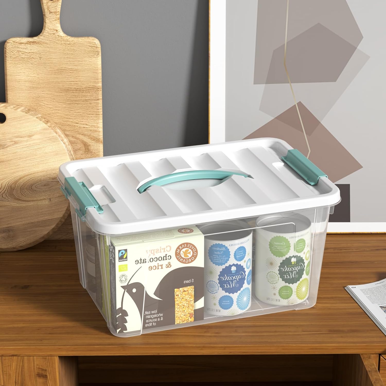 17.5 L Clear Plastic Storage Box, 4-Pack Latch Storage Bin