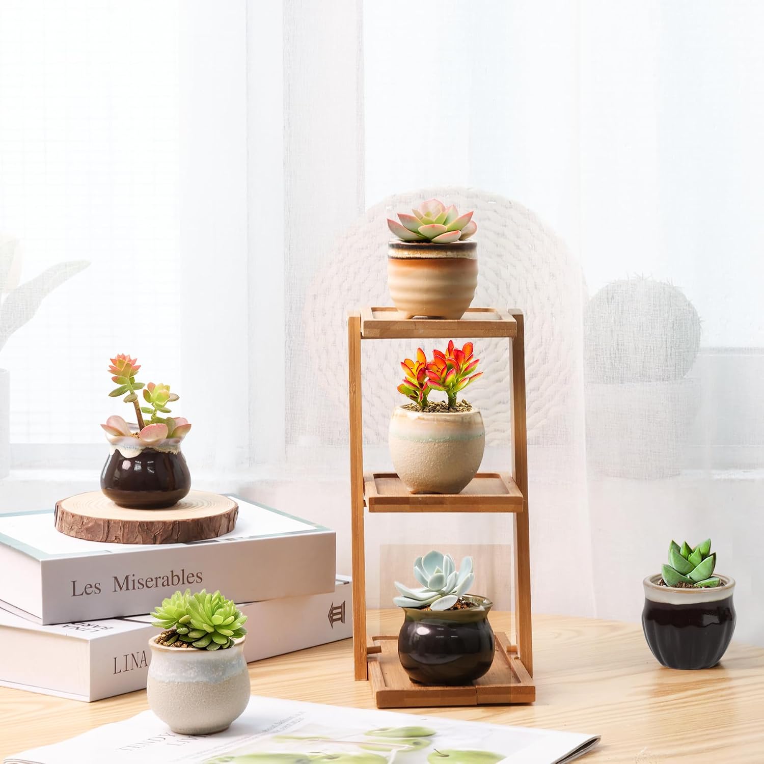 T4U Mini Succulent Ceramic Pots for Gifts, Small Planters for Decor 6 Pack | Planters with Drainage, for live cactus plants, bonsai tree starter pots, indoor windowsill decor, office desk accents
