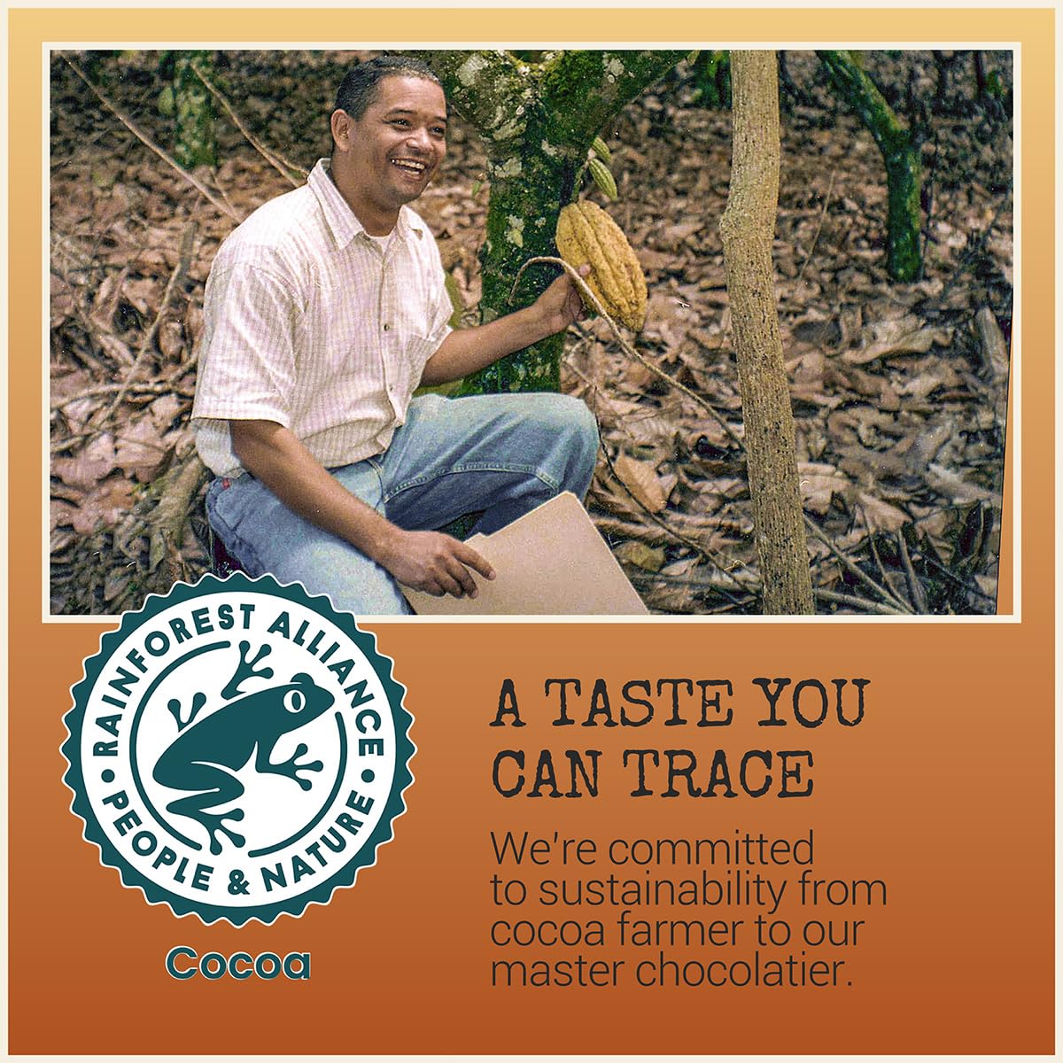 Chocolove Creamy Milk Chocolate Bars | 33% Cocoa | Crafted with Silky Premium Chocolate | Non-GMO, & Gluten-Free, 3.2 oz Bar (12 Pack)