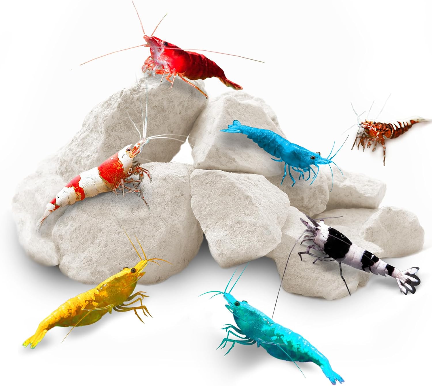SunGrow Shrimp Rocks, Calcium, Magnesium Rocks for Crayfish, Hermit Crab, Snails, Crustacean Care, Aquarium Decor for Crystal Red, Amano and Ghost Shrimps, Nano Tank Accessories, Fish Tank Supplies