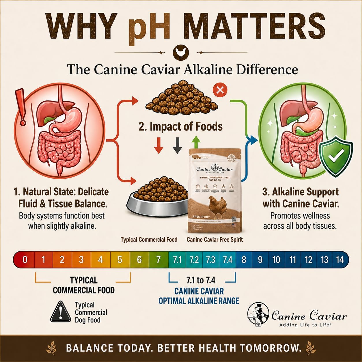 Canine Caviar - Open Range: Water Buffalo & Chickpea Alkaline Dry Dog Food, Limited Ingredients, Gluten-Free, Based on Science & Research, Veterinary Alternative Diet (22 Pound Bag)