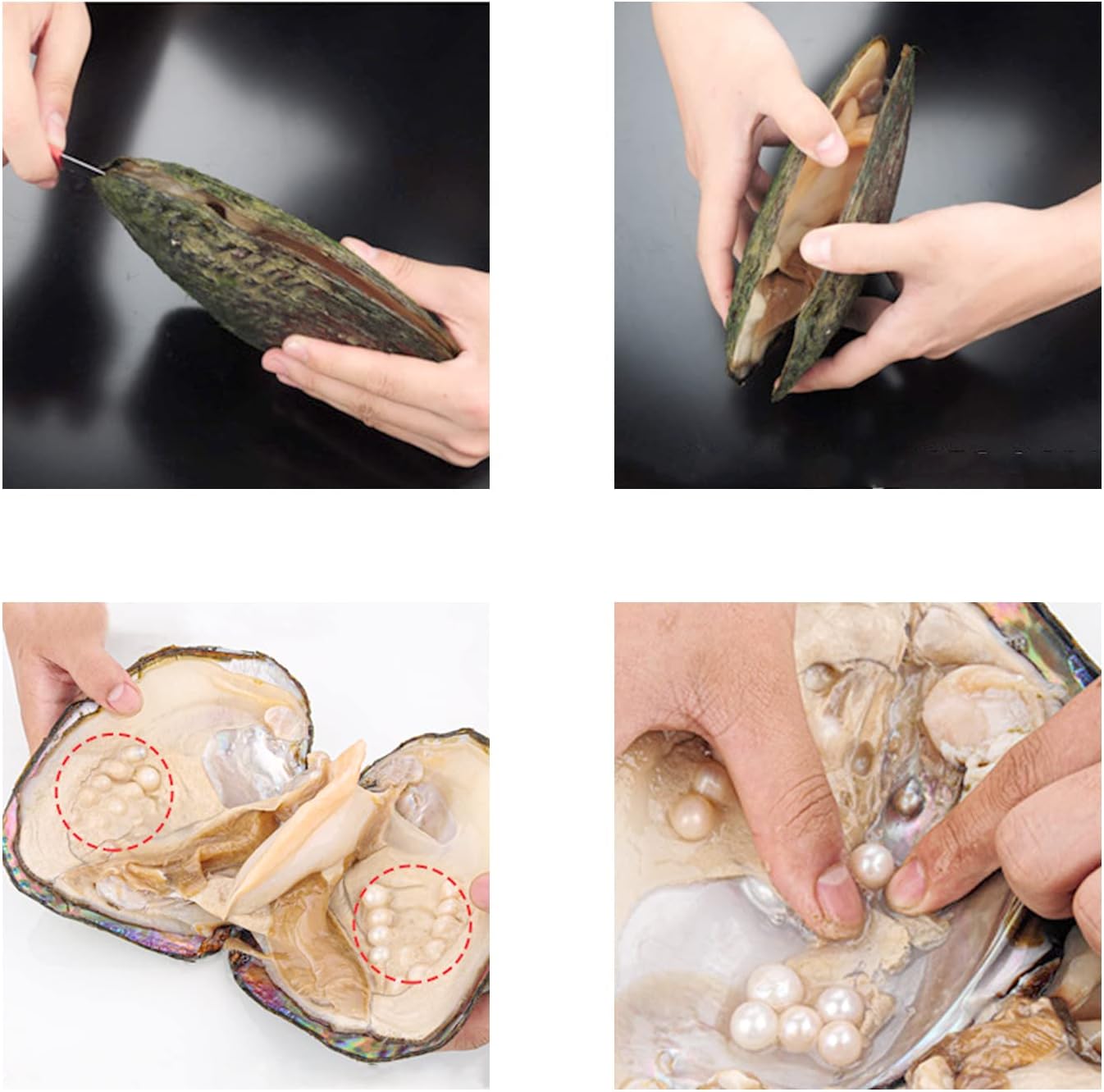 Oyster Pearls, Monster Oysters with Pearls Inside 5-8mm 25 PCs Cultured Freshwater Pearl Pearl an Oysters Home Decoration Jewelry Making