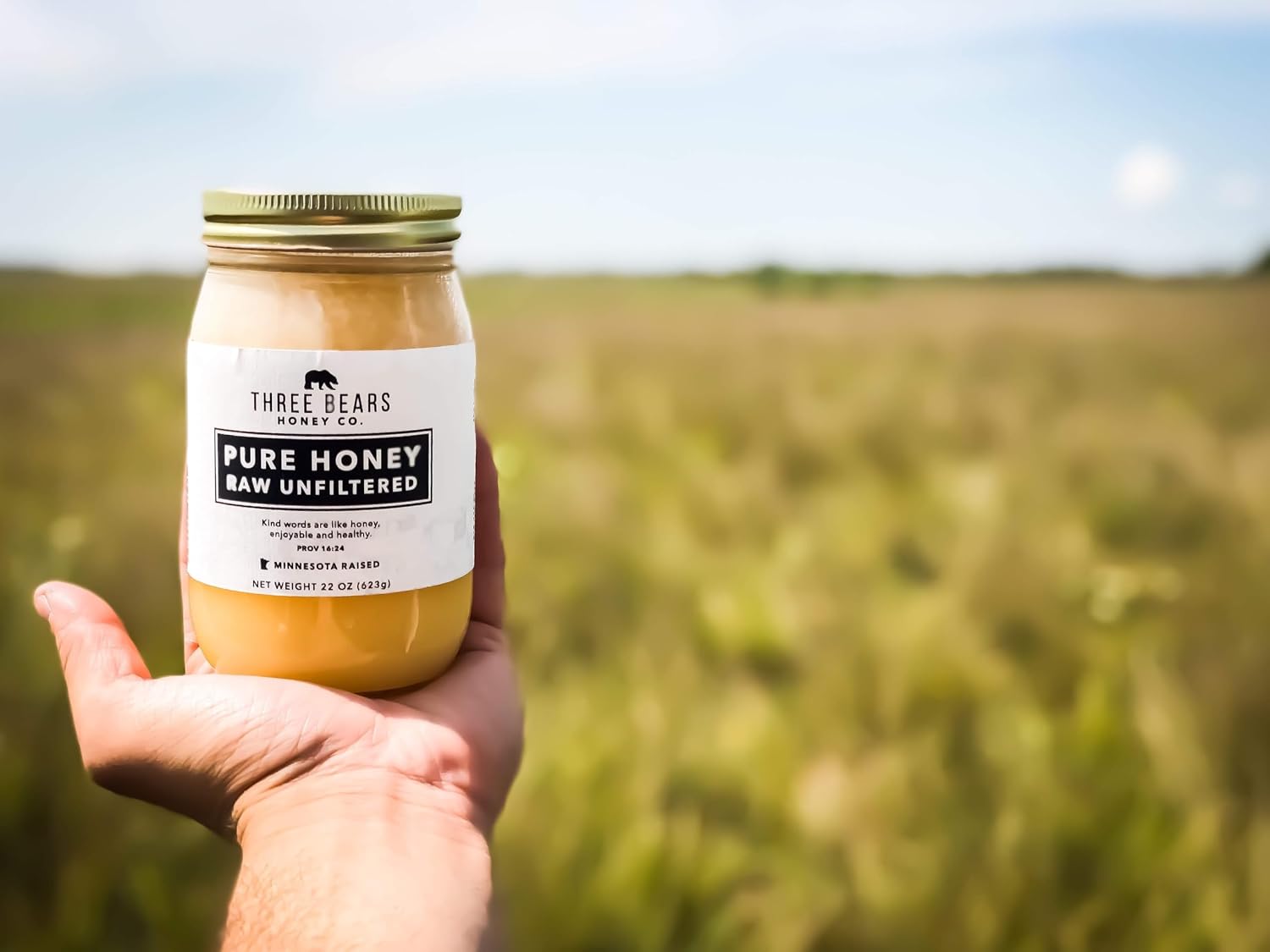 Three Bears Honey Co. Pure Honey - 22 oz