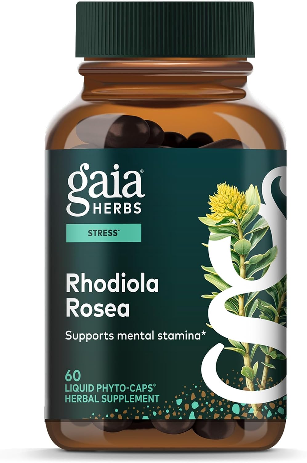 Gaia Herbs Rhodiola Rosea - Stress Support Supplement Traditionally for Supporting Healthy Stamina & Endurance* - with Siberian Rhodiola Root Extract - 60 Vegan Liquid Phyto-Caps (60 Servings)