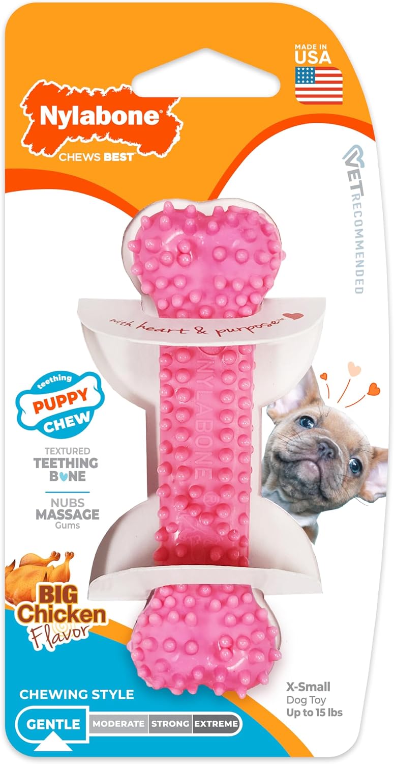 Nylabone Puppy Pacifier Chew Toy, Teething Toys for Puppies up to 25 lbs | Puppy teething toys with bacon flavor, soft material, textured nubs massage gums