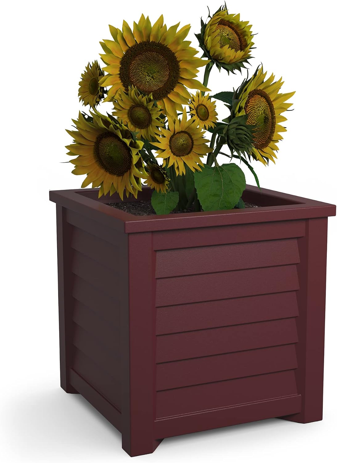 Mayne 5866-W Lakeland Square Patio Planter, 16x16, White