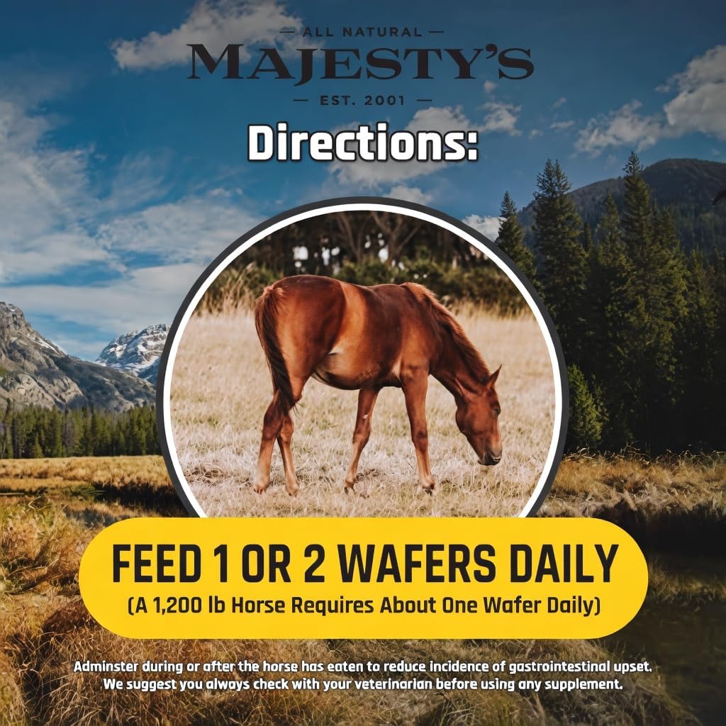 Majesty's Flex Wafers - Superior Horse/Equine Joint Support Supplement - Glucosamine, MSM, Chondroitin, Yucca, Vitamin C (Regular, 2 Pack (120 Count Total))