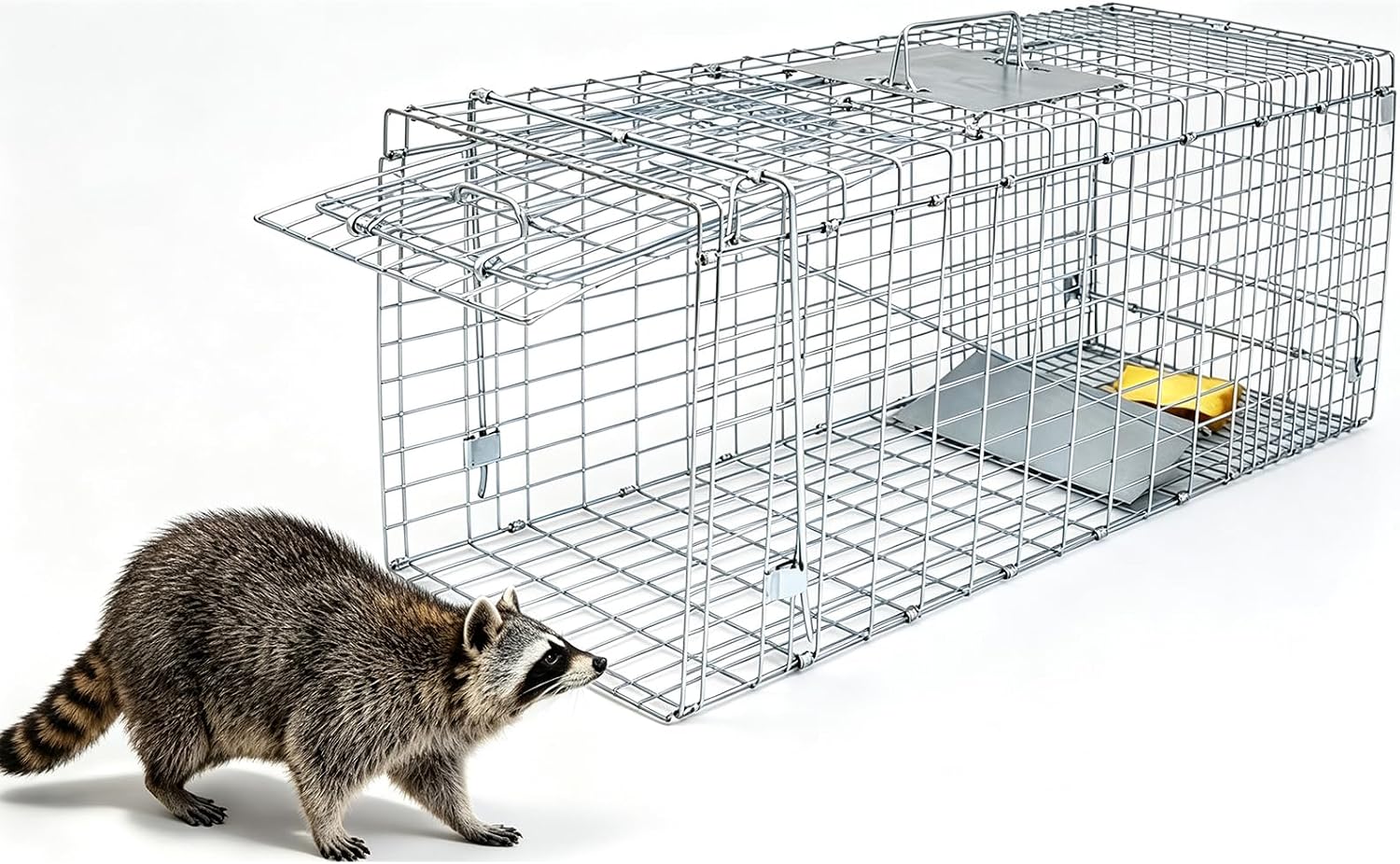 Live Animal Trap Cage