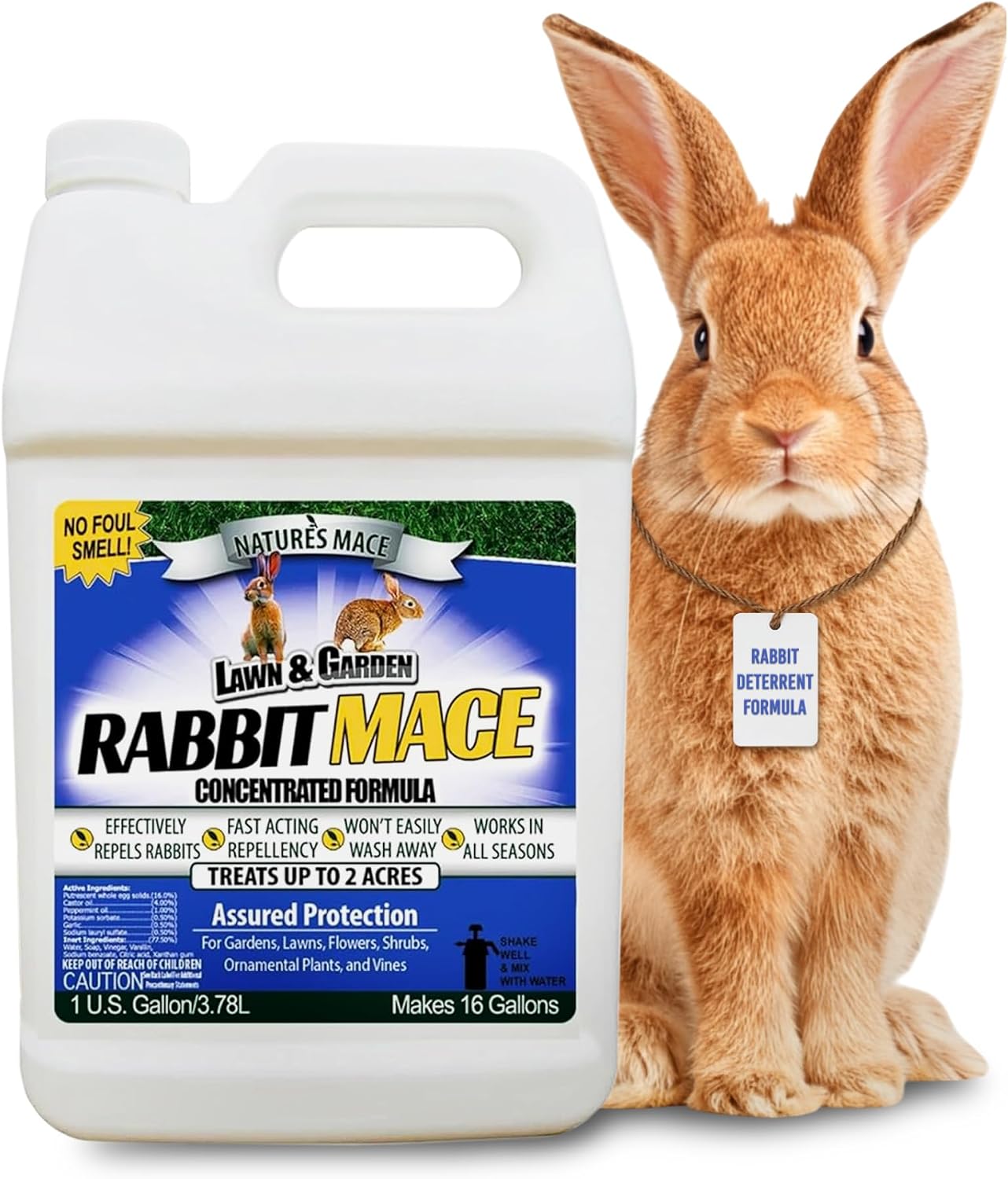 Nature's MACE Rabbit Mace Rabbit Repellent Spray & Concentrate Kit | Outdoor Rabbit Repellent, Covers 29,400 Sq Ft, Mint Scent, Safe Around Pets, People & Plants.