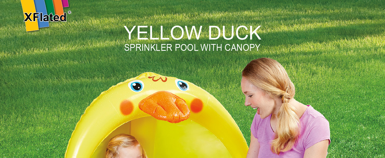 XF DuckPool A+P-01