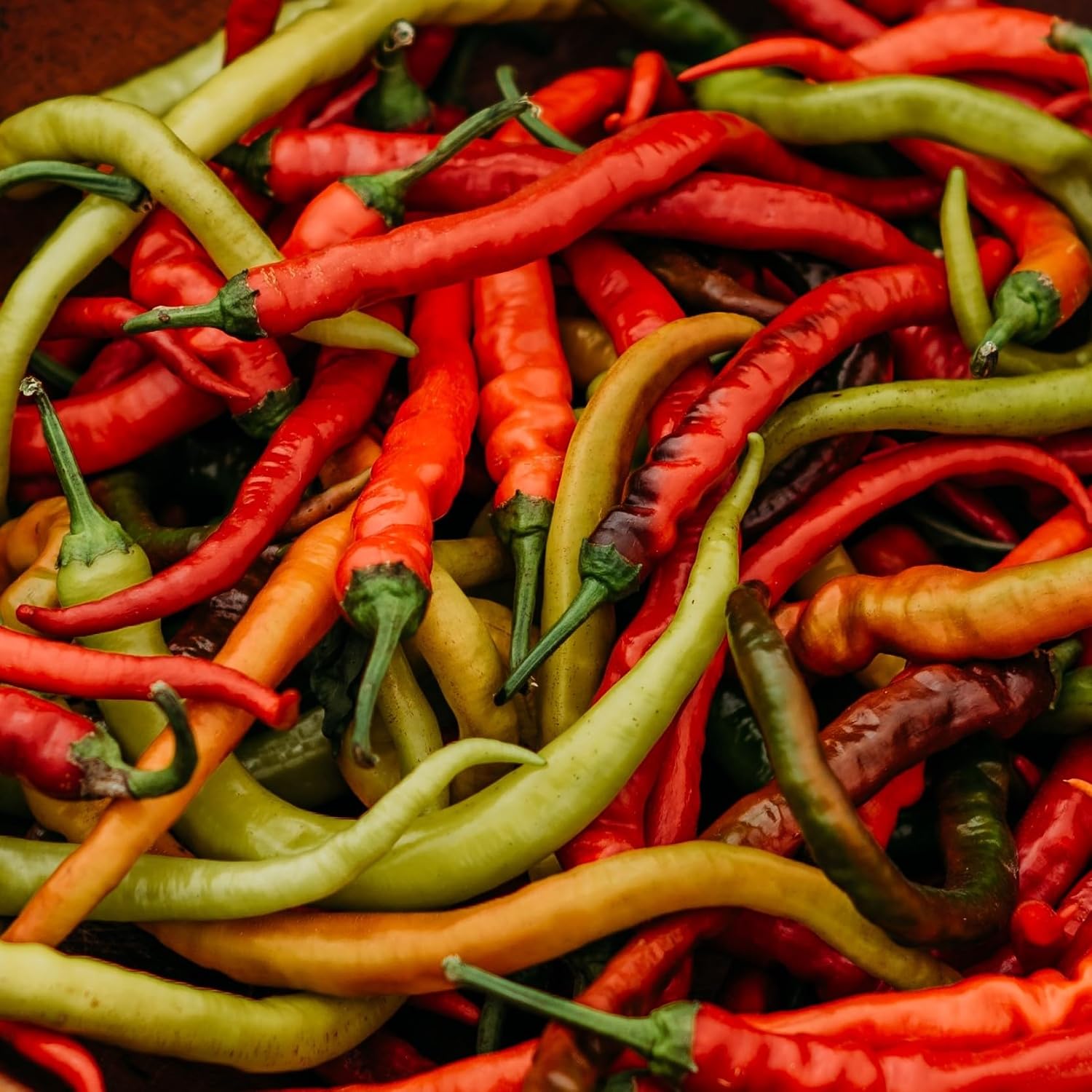 Surmeli Turkish Sweet Pepper - 25 Seeds - Rare Heirloom Turkish Pepper, USA-Grown