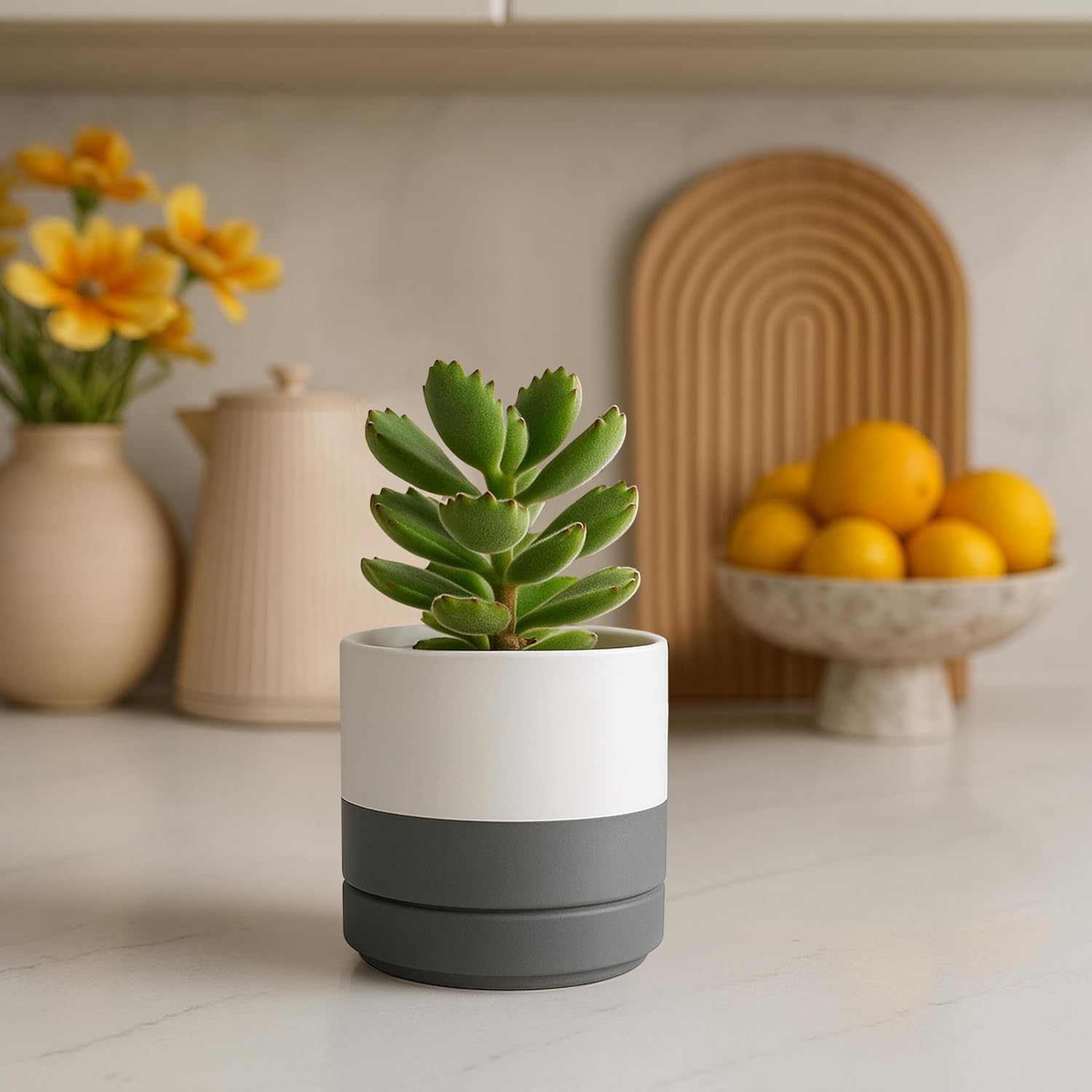 D'vine Dev 2-Pack Ceramic Pots with Saucers, White/Grey, 4.7 in, 94-V-B-6