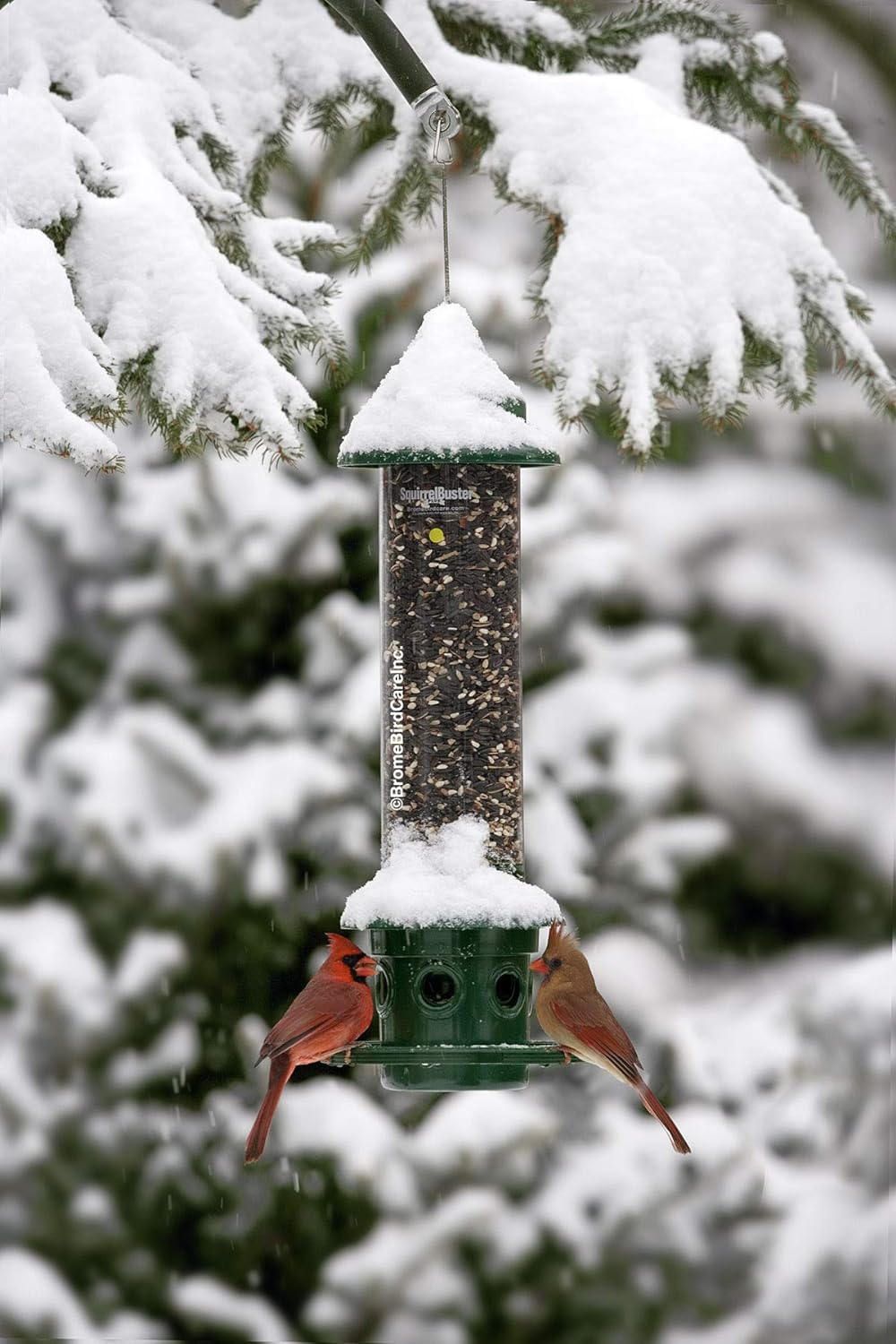 Squirrel Buster Plus Squirrel-proof Bird Feeder w/Cardinal Ring and 6 Feeding Ports, 5.1-pound Seed Capacity, Adjustable