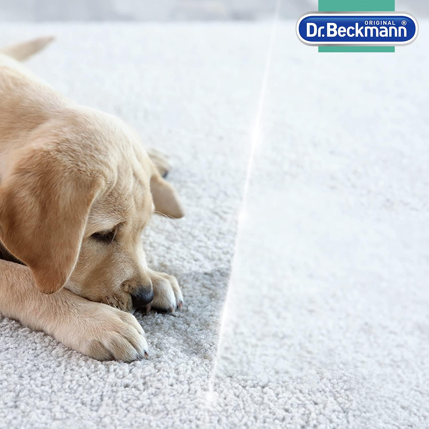 Dr. Beckmann Pet Stain & Odour Remover, Eliminates stains and odours caused by pets, incl. applicator brush, 650 ml