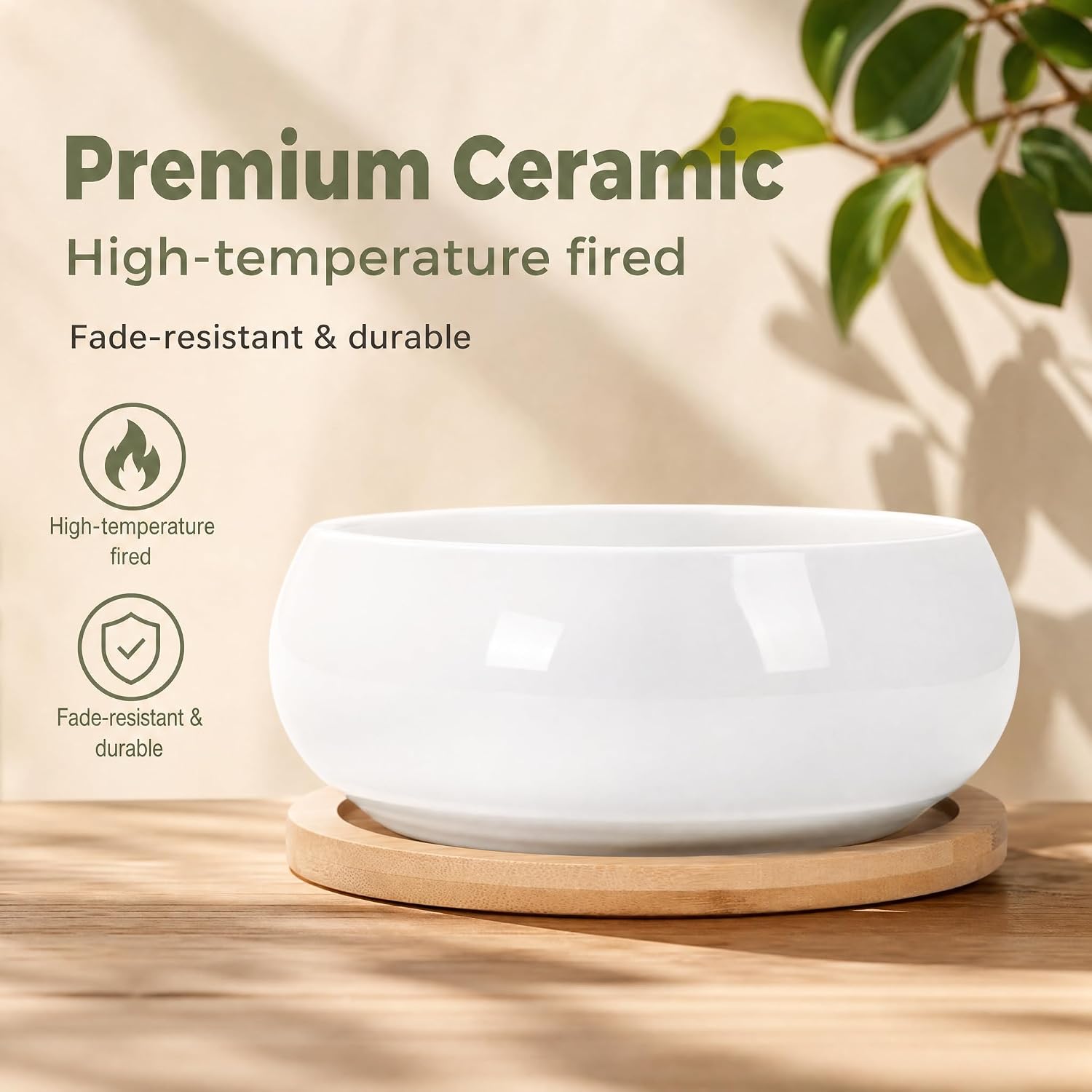 ZOUTOG 2 Pack 6" Ceramic Succulent Pots, White Planters with Drainage Tray