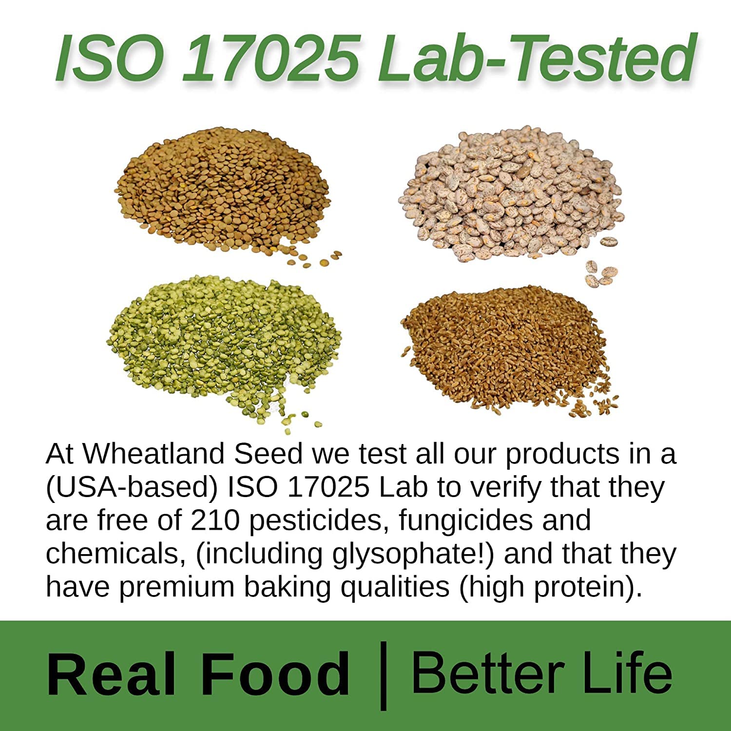 Wheatland Oat Groats • 20 Pound Bucket with Mylar lining • USA Grown • Non-GMO • Lab Tested • Sproutable • Whole Grain • Emergency