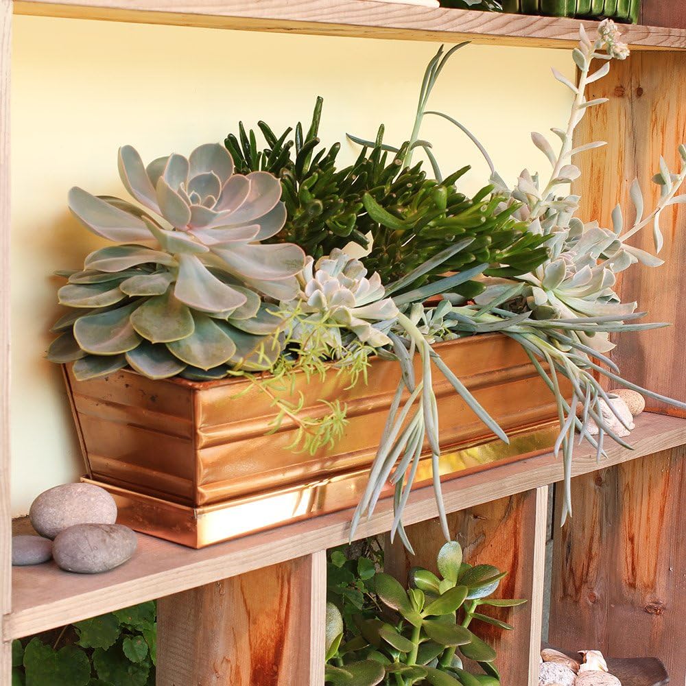 Achla Designs Galvanized Window Flower Box Planter-Green-Medium (24" L x 9.5" W x 7.5" H)