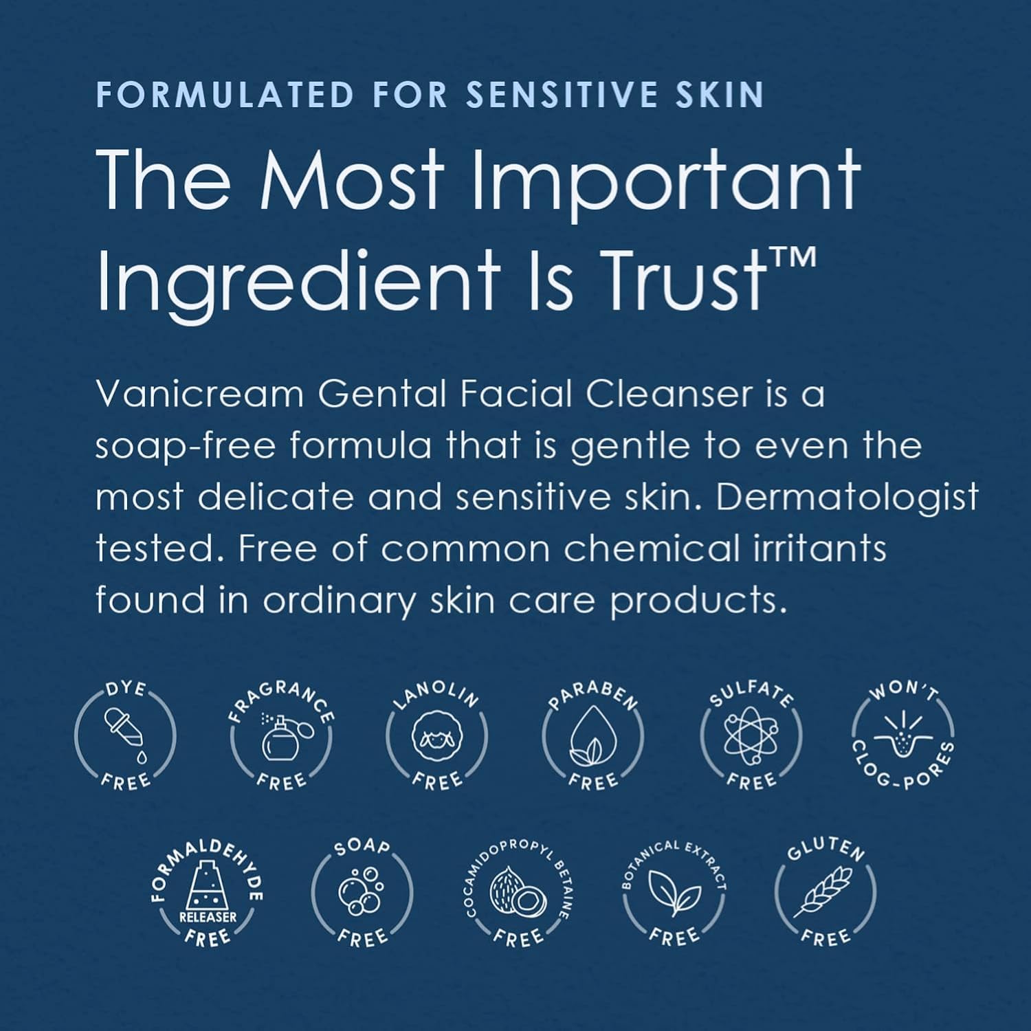 Vanicream Gentle Facial Cleanser, 8 Fl Oz (Pack of 2)
