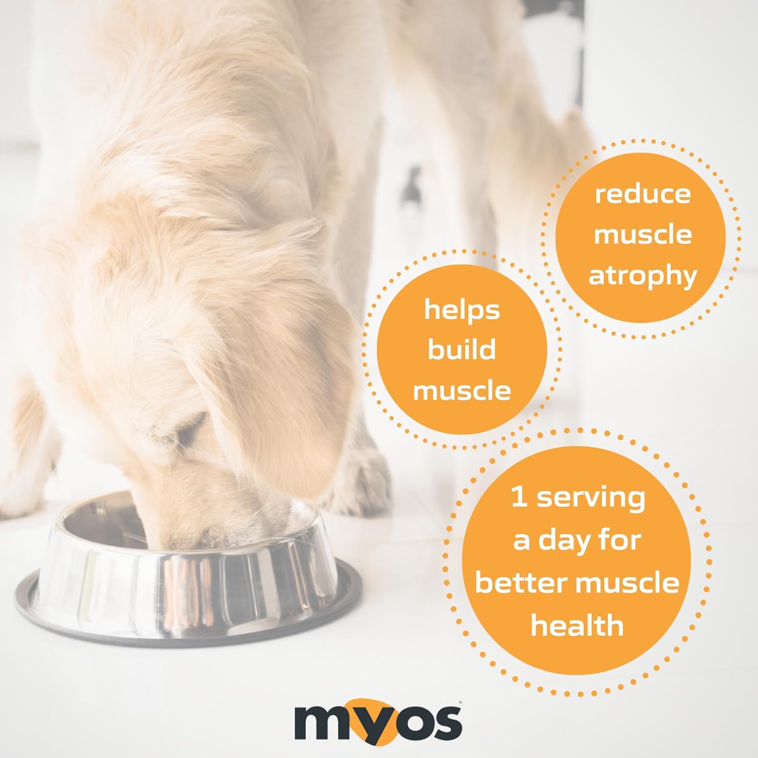 MYOS Canine Muscle Formula - Dog Muscle Builder & Mobility Support - 180 g