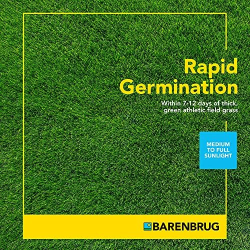 Barenbrug 25626 Turf Sense Athletic Field Grass Seed Grows in Areas of Sun and Partial Shade, 25 LB Bag