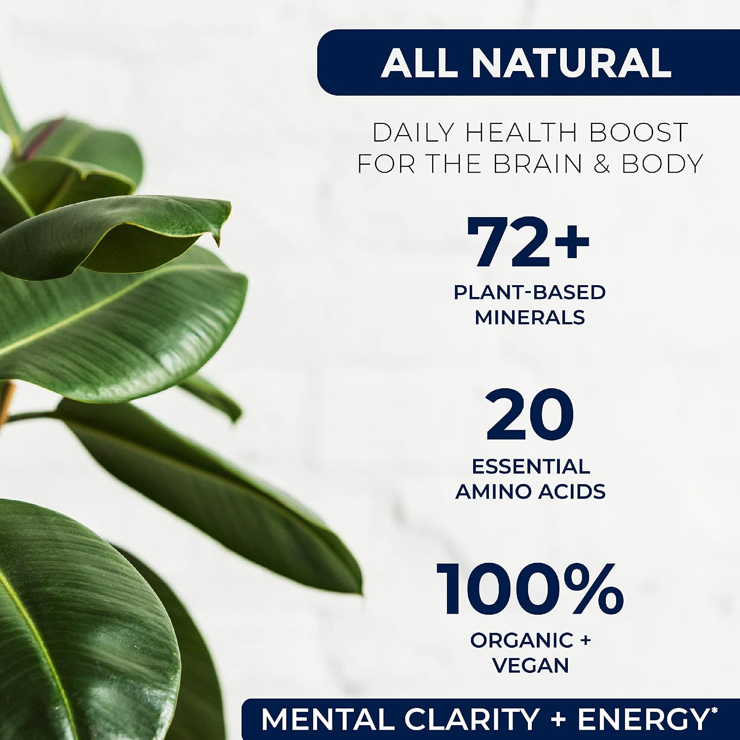 Liquid Chelated Minerals - Organic Humic Fulvic Mineral Blend - 72+ Plant-Based Minerals, 20 Essential Amino Acids - 100% Natural - 1 Month Supply