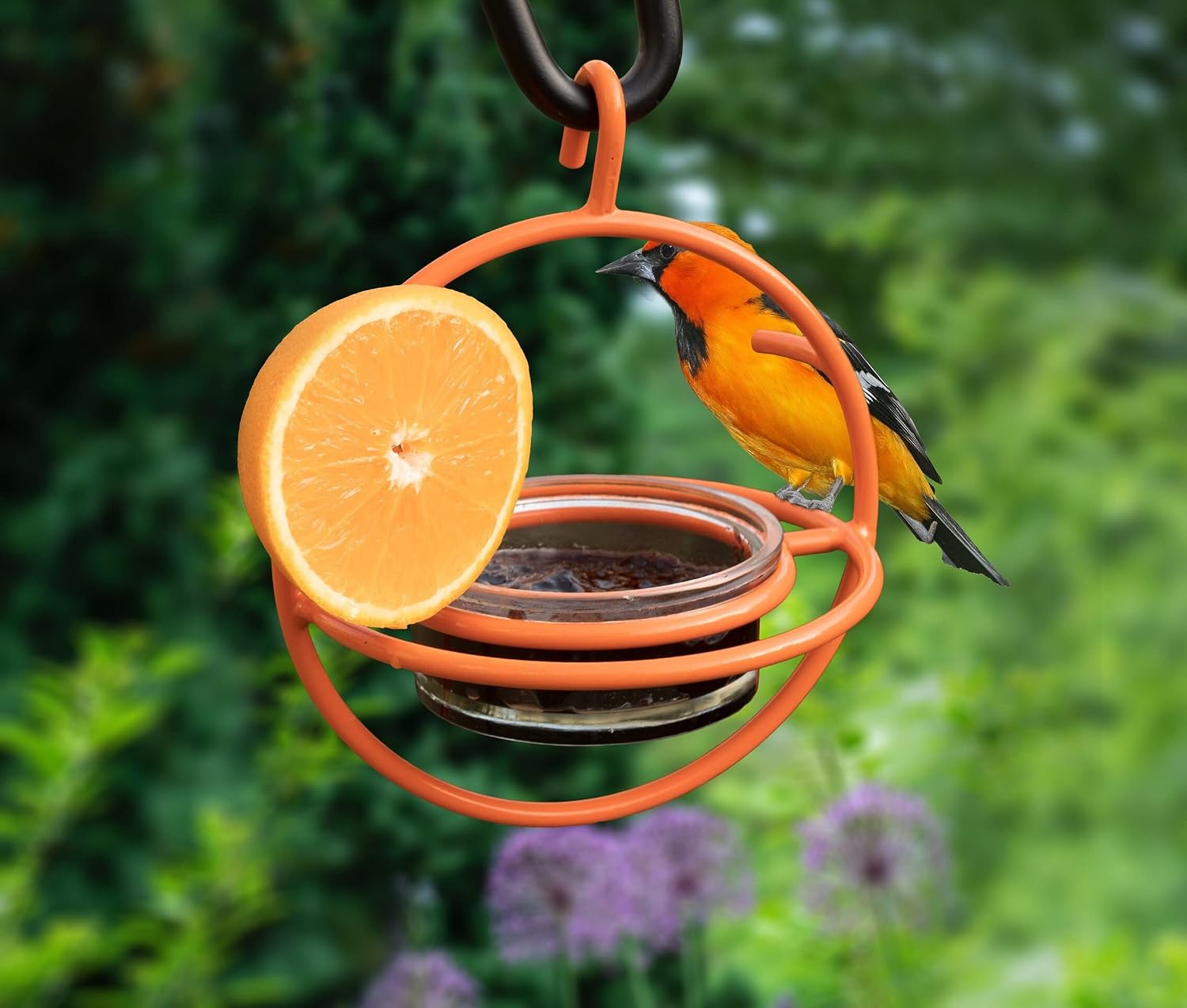 Monarch Abode Hanging Hummingbird Feeders for Outdoors – Single Handcrafted Hanging Glass Hummingbird Feeder with Red Bowl & Perch