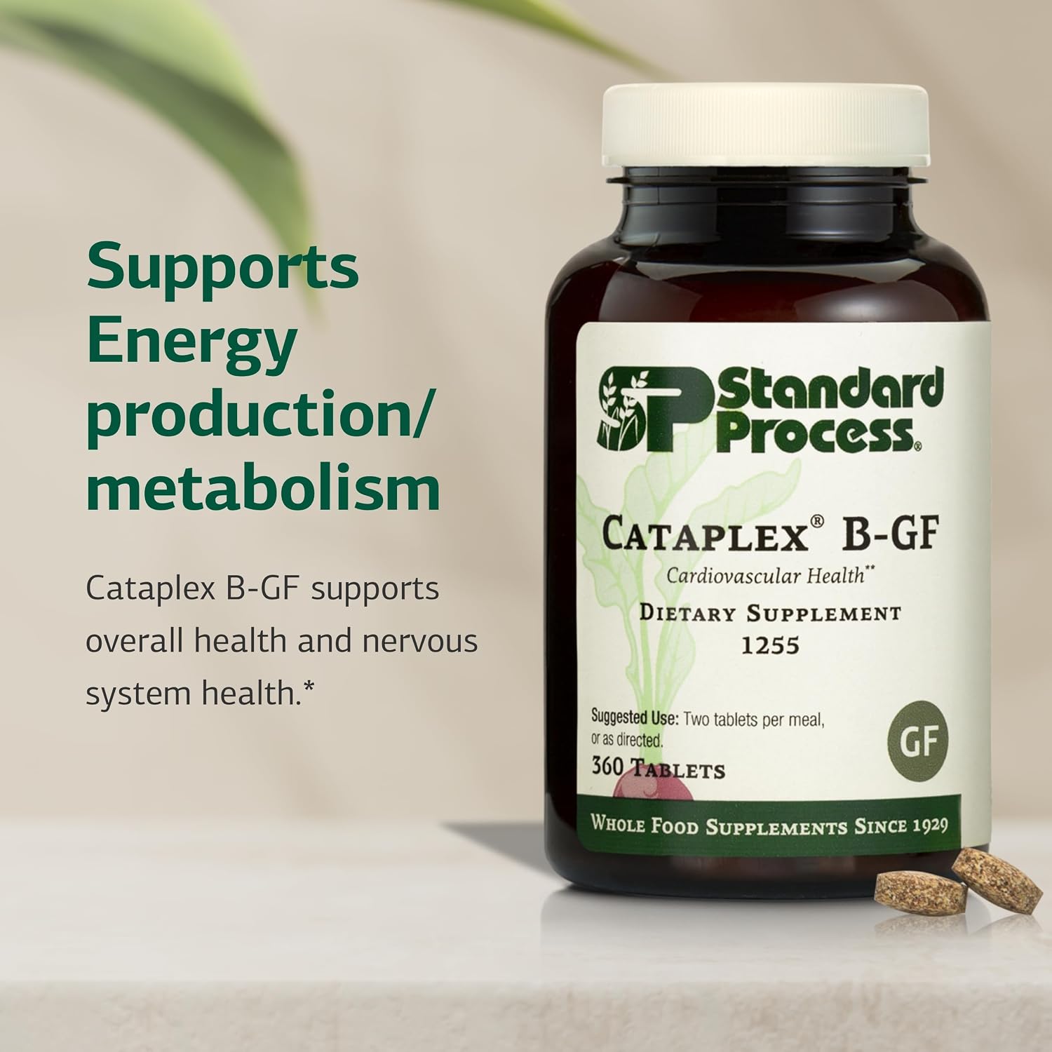 Standard Process Cataplex B-GF - Supports Nervous System Health - B Vitamins for Energy & Heart Support - Aids Energy During Physical Activity