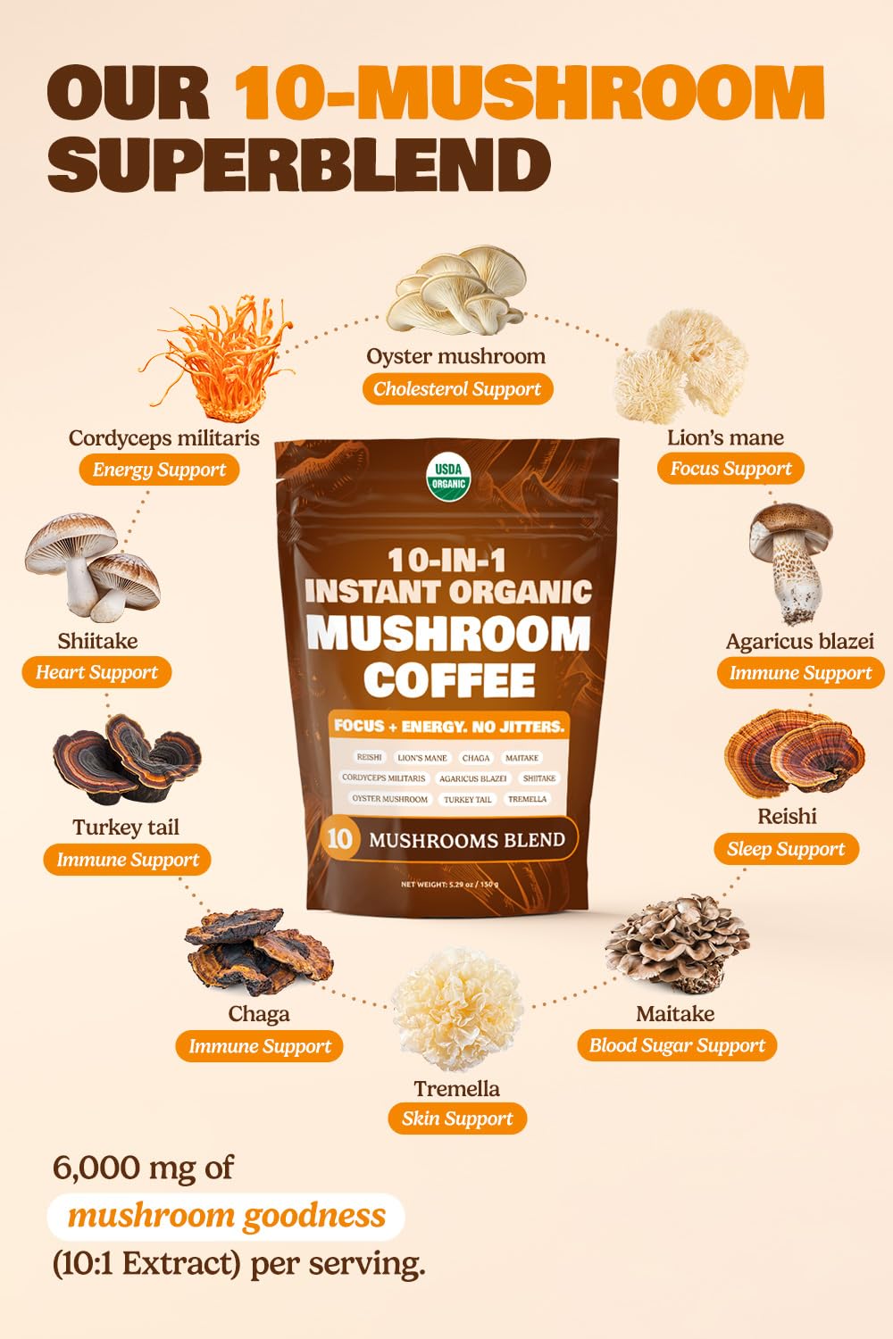 ShroomDNA Mushroom Coffee Blend with Chaga & Lion's Mane | Instant Focus + Clarity All Day | Organic + Vegan + Gluten Free | No Added Sugar | 20 Count