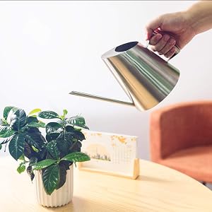 indoor watering can
