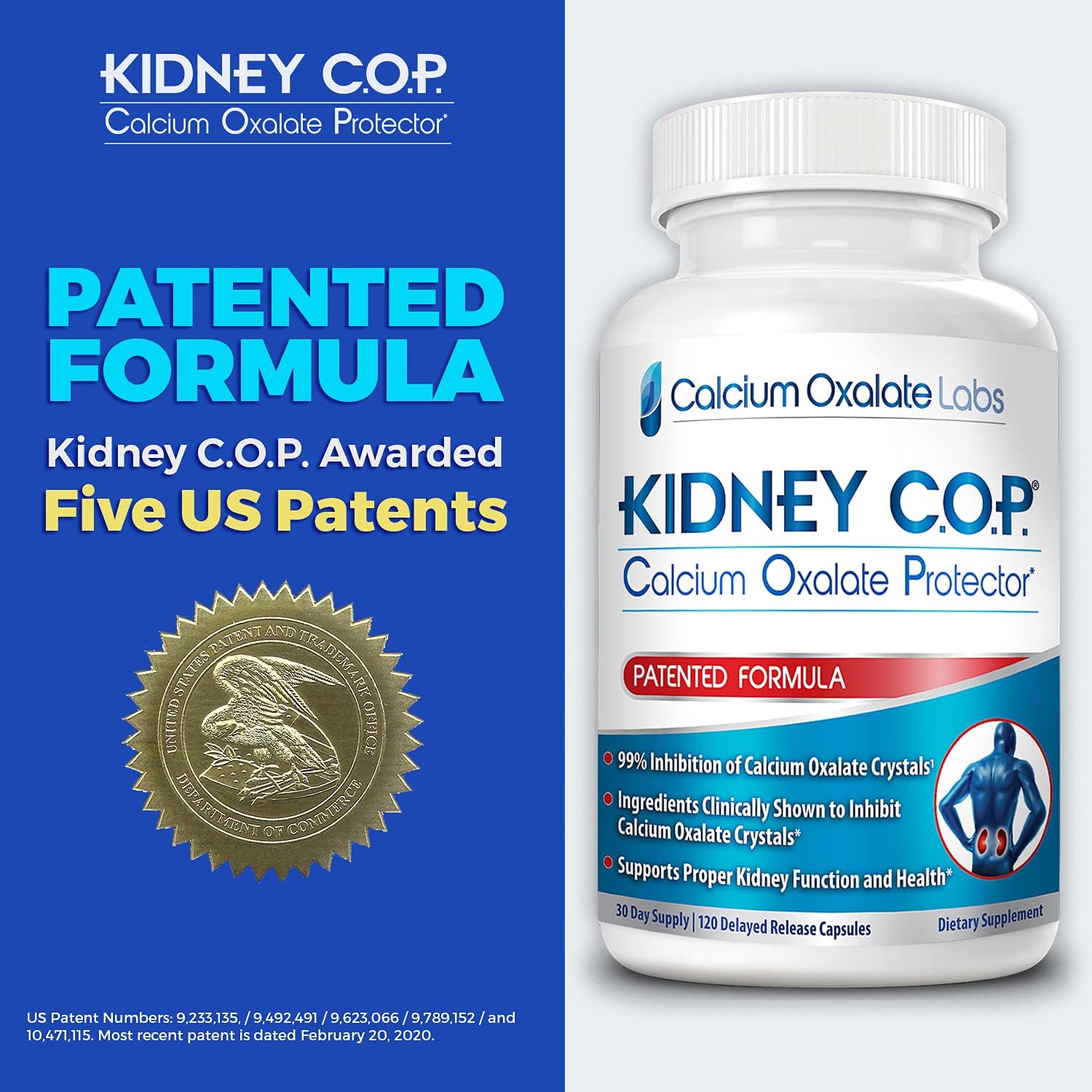 KIDNEY C.O.P. Calcium Oxalate Kidney Stone Support Supplement 120 Caps | Urologist Recommended, 99% Calcium Oxalate Inhibition, 5X Stronger Than Chanca Piedra, Patented Formula, 30-day supply