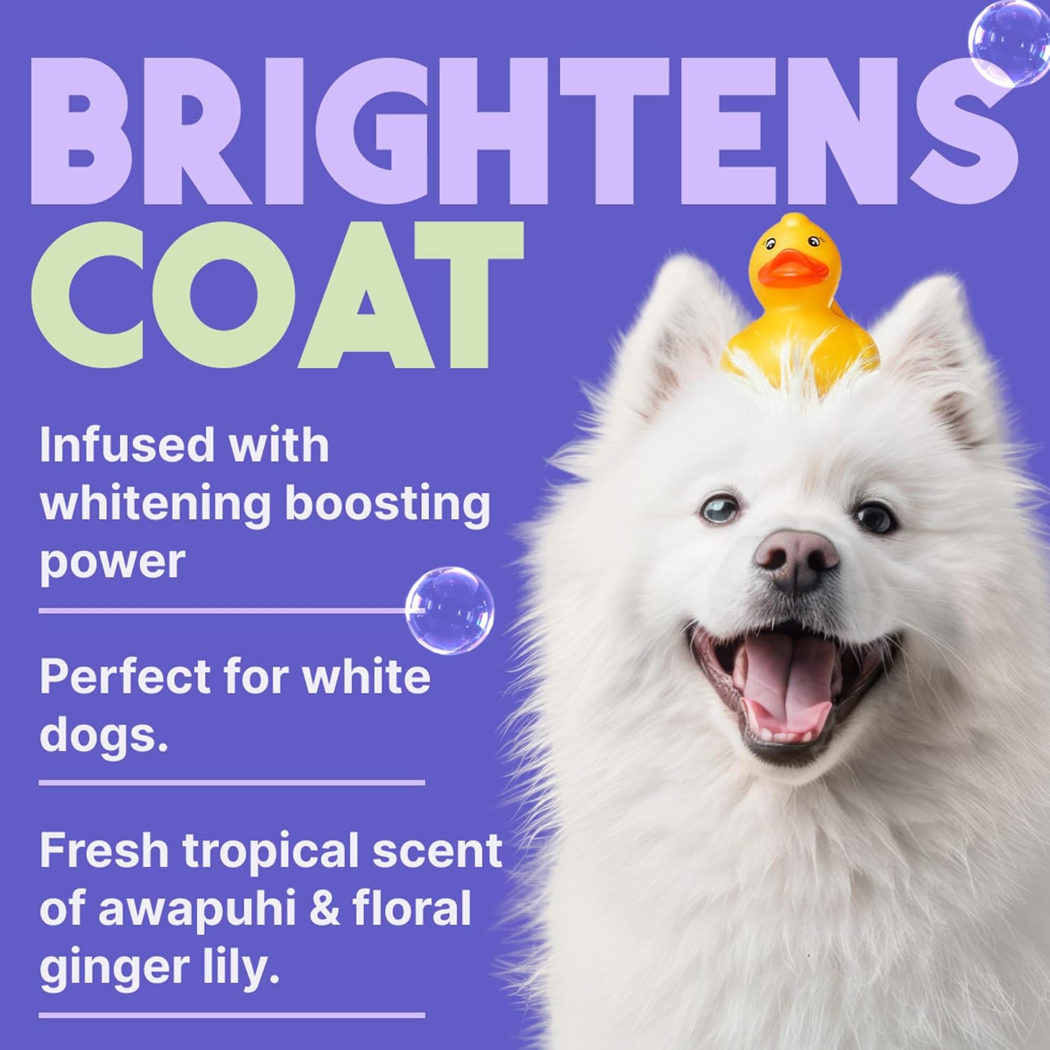 TropiClean Deodorizing Dog Shampoo for Smelly Pets, Professional Dog Shampoo, Long Lasting Odor Control, Puppy Safe, USA Made, Berry Scent, 1 Gal