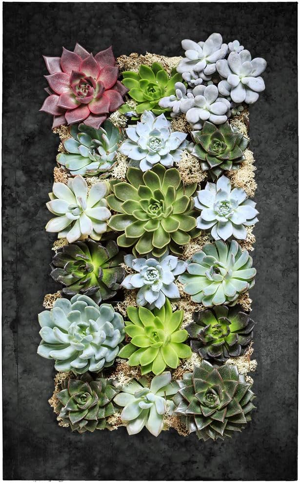 Modern Home Living Wall Galvanized Steel/Zinc Succulent Planter, Wall Mounted Garden Pocket Planter (18 Pocket, Black Zinc)