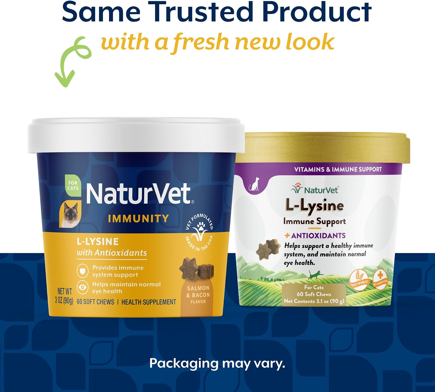 NaturVet L-Lysine Immune Support Plus Antioxidants Cat Supplement - 60 Ct | Support Eye Health, Immune System for Cats, Includes Amino Acids
