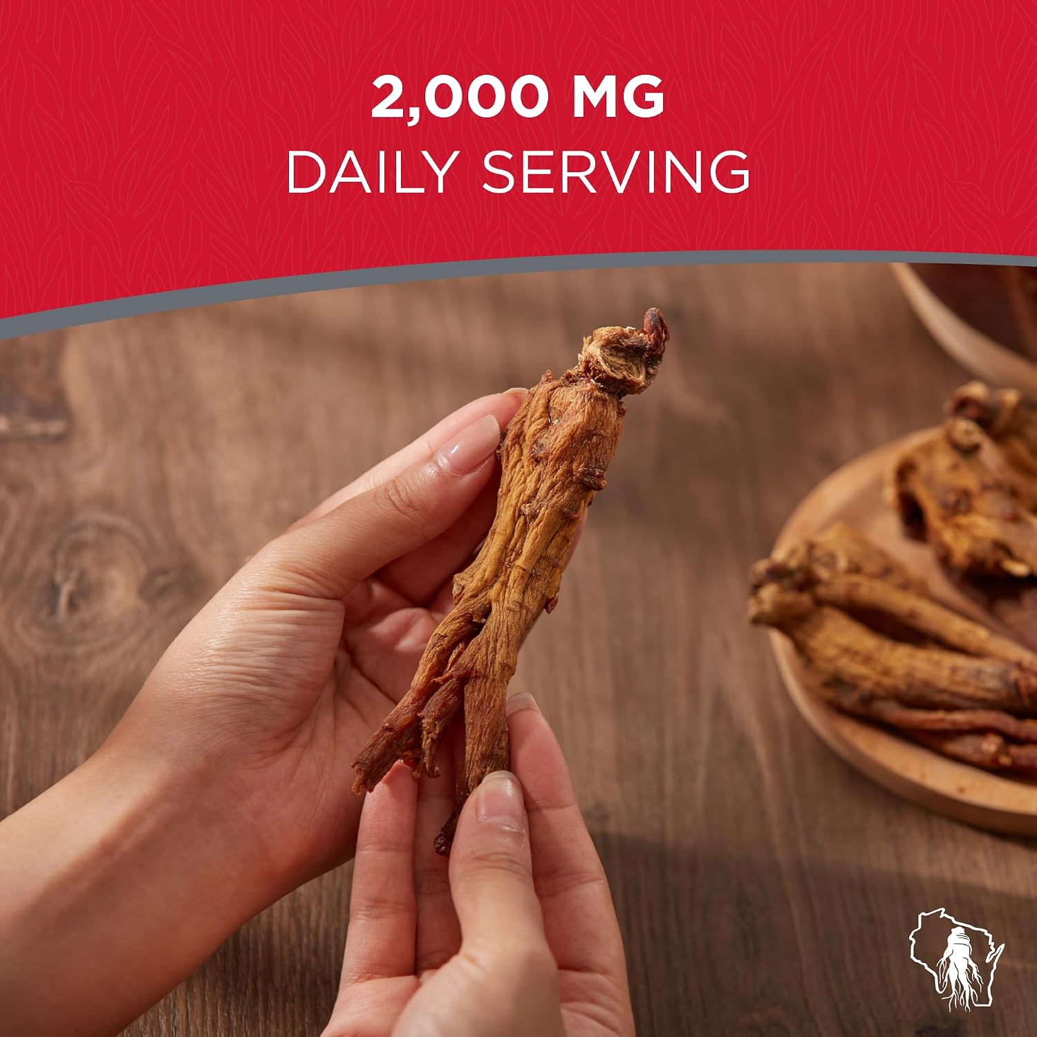 Dairyland Management LLC Red Panax Ginseng Root - 4 oz Pack of Korean Panax Ginseng Root - Authentic Panax Ginseng - Non-GMO