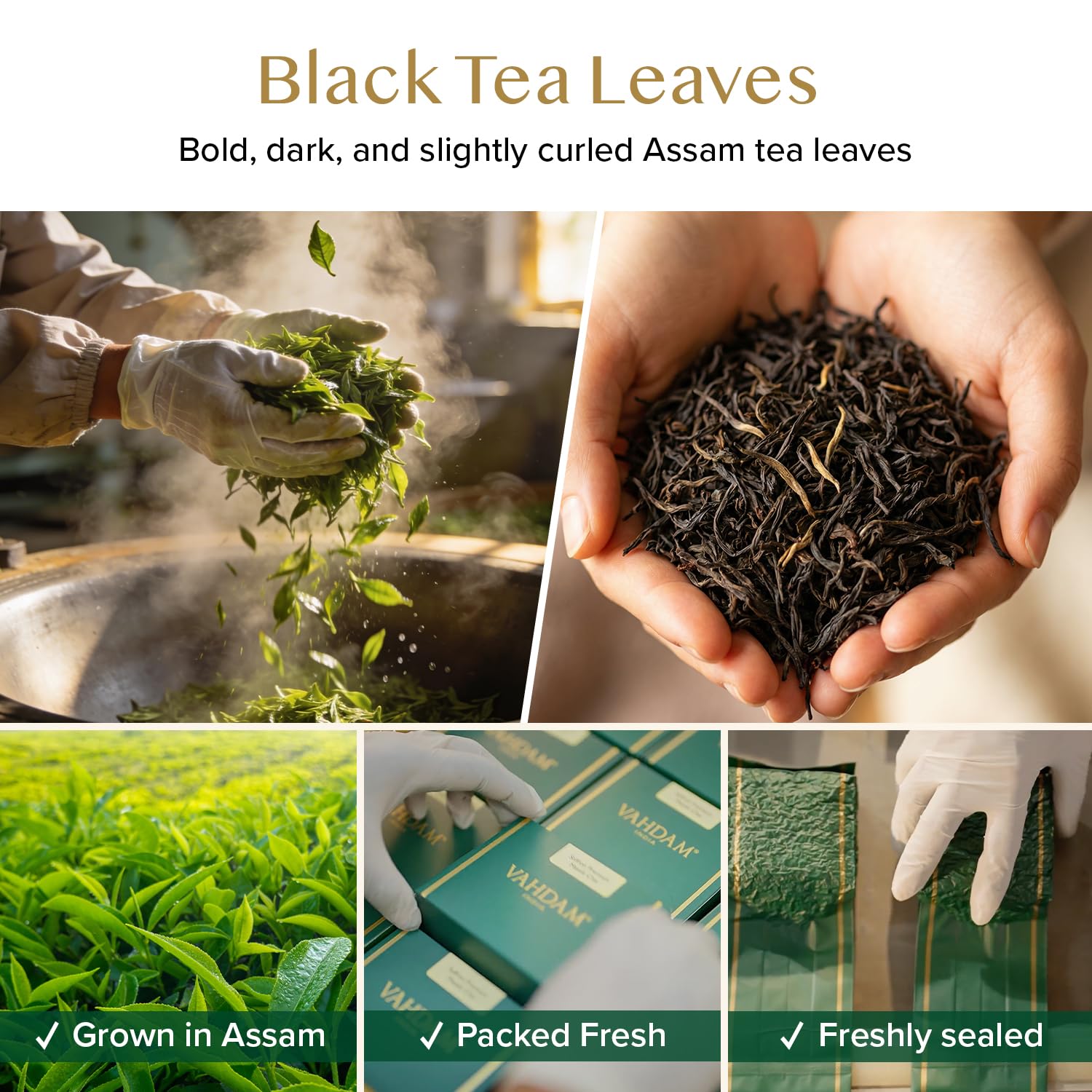 VAHDAM, Himalayan Green Tea Leaves (50+ Cups, 3.53 Oz) Non GMO, Gluten Free | High Elevation Grown Green Tea Leaves From Himalayas | Pure Unblended Single Origin Green Loose Leaf Tea | Vacuum Sealed