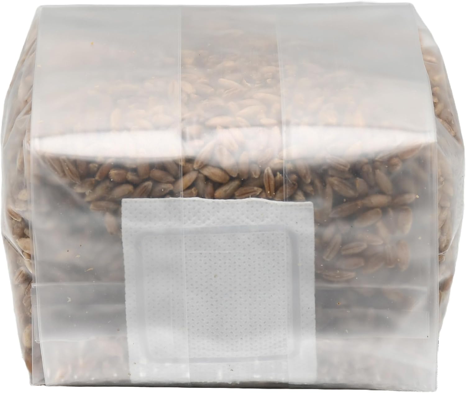 Six 1 Pound Bags of Sterilized Rye Berries Substrate in Mushroom Grow Bags