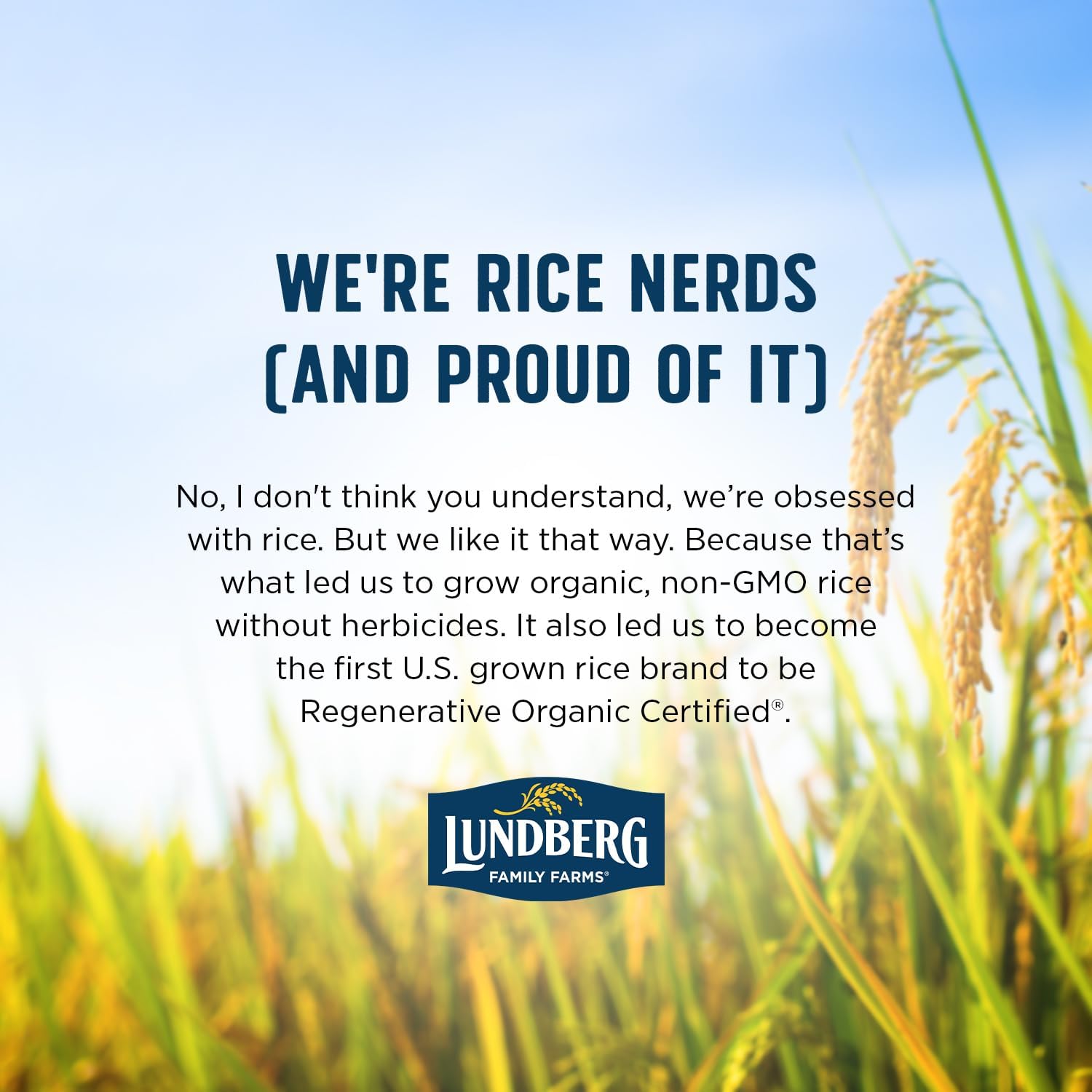 Lundberg Basmati Rice, Long Grain White Rice - Non-Sticky, Fluffy, Nutty, Aromatic Rice, Vegan Food, Healthy Meals, Gluten-Free Rice Grown in California, 32 Oz