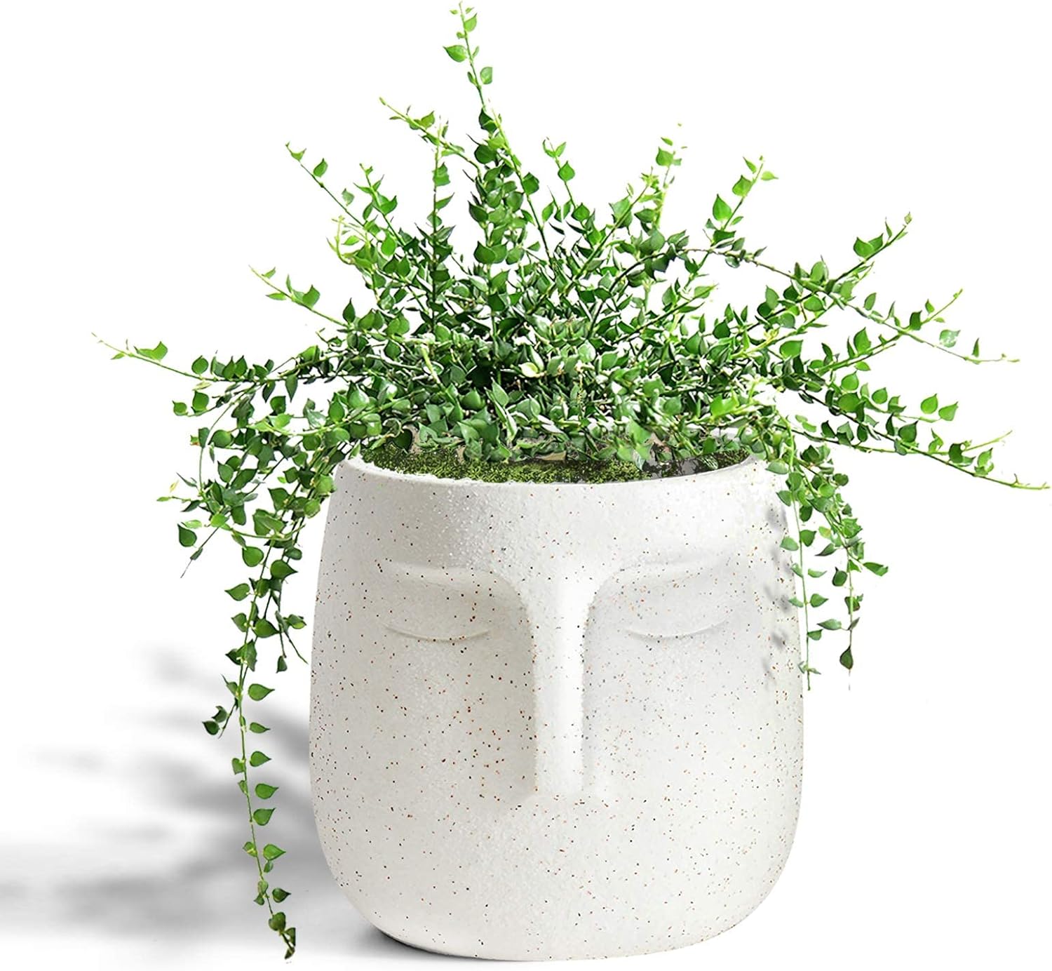 GeLive Head Plant Pot Succulent Planter with Drainage Hole Modern Statue Flower Pot Face Plant Vase Windowsill Box Art Home Decoration Indoor