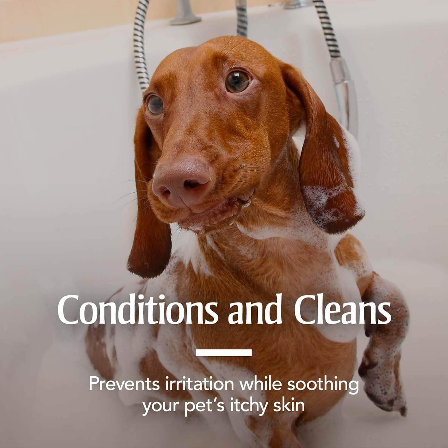 PetArmor Plus Flea & Tick Oatmeal Shampoo Dogs, 7-Day, Tropical, 18oz