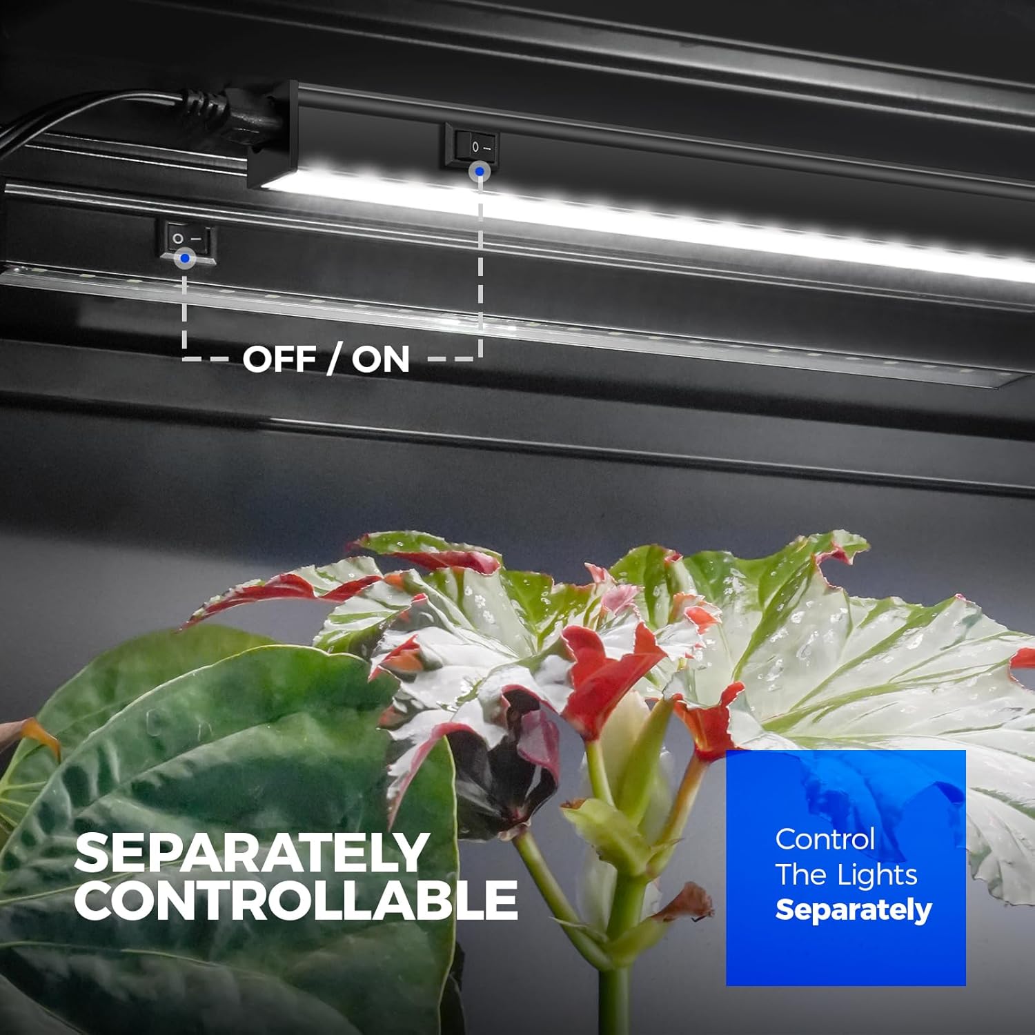 Barrina T5 Grow Lights for Indoor Plants, Full Spectrum, 2FT, 8 Packs