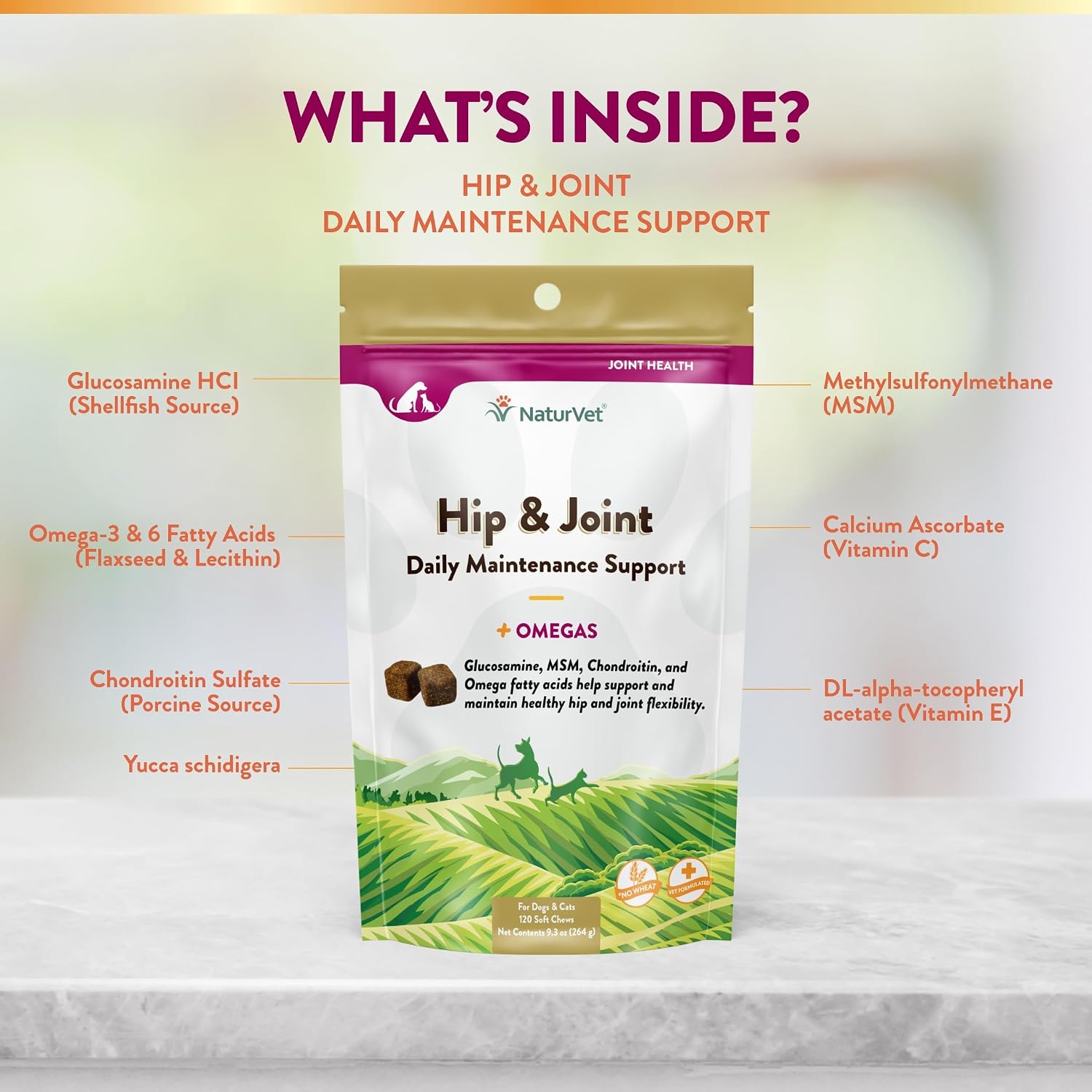NaturVet – Senior Wellness Hip & Joint Advanced Plus Omegas | Help Support Your Pet’s Healthy Hip & Joint Function | Supports Joints, Cartilage & Connective Tissues | 120 Soft Chews