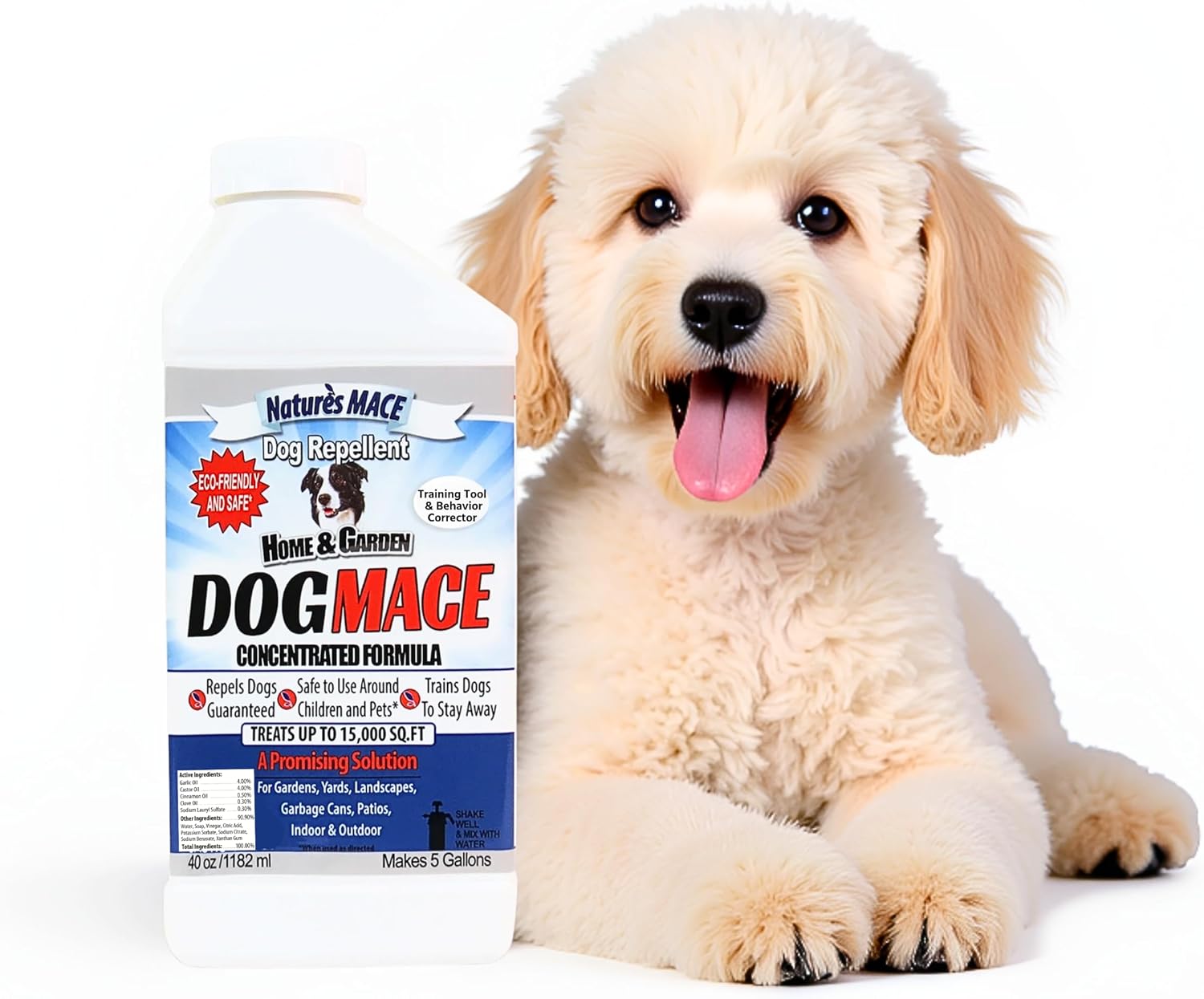 Nature's MACE Dog Mace Dog Repellent 1 Gallon Concentrate | Potty Training Tool Spray, Indoor & Outdoor, Pee Deterrent, Safe Around Kids, Pets, Garden & Plants, Treats 48,000 Sq. Ft.