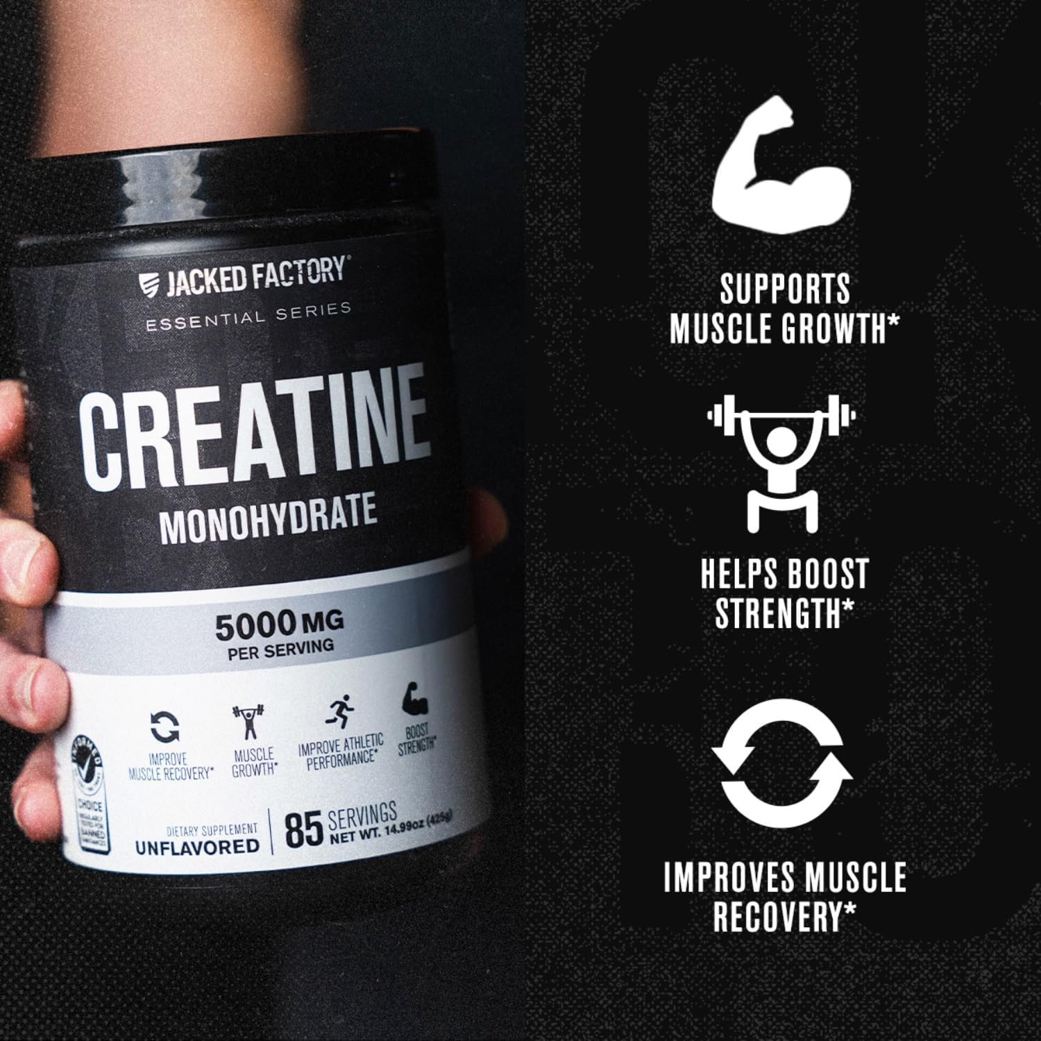 Jacked Factory Creatine Monohydrate Powder 425g - 5g Daily Micronized Creatine Monohydrate for Men and Women, Vegan-Friendly