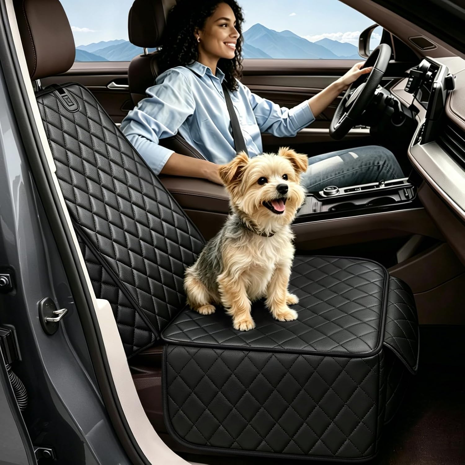 PETICON Waterproof Front Seat Car Cover 2 Pack, Full Protection