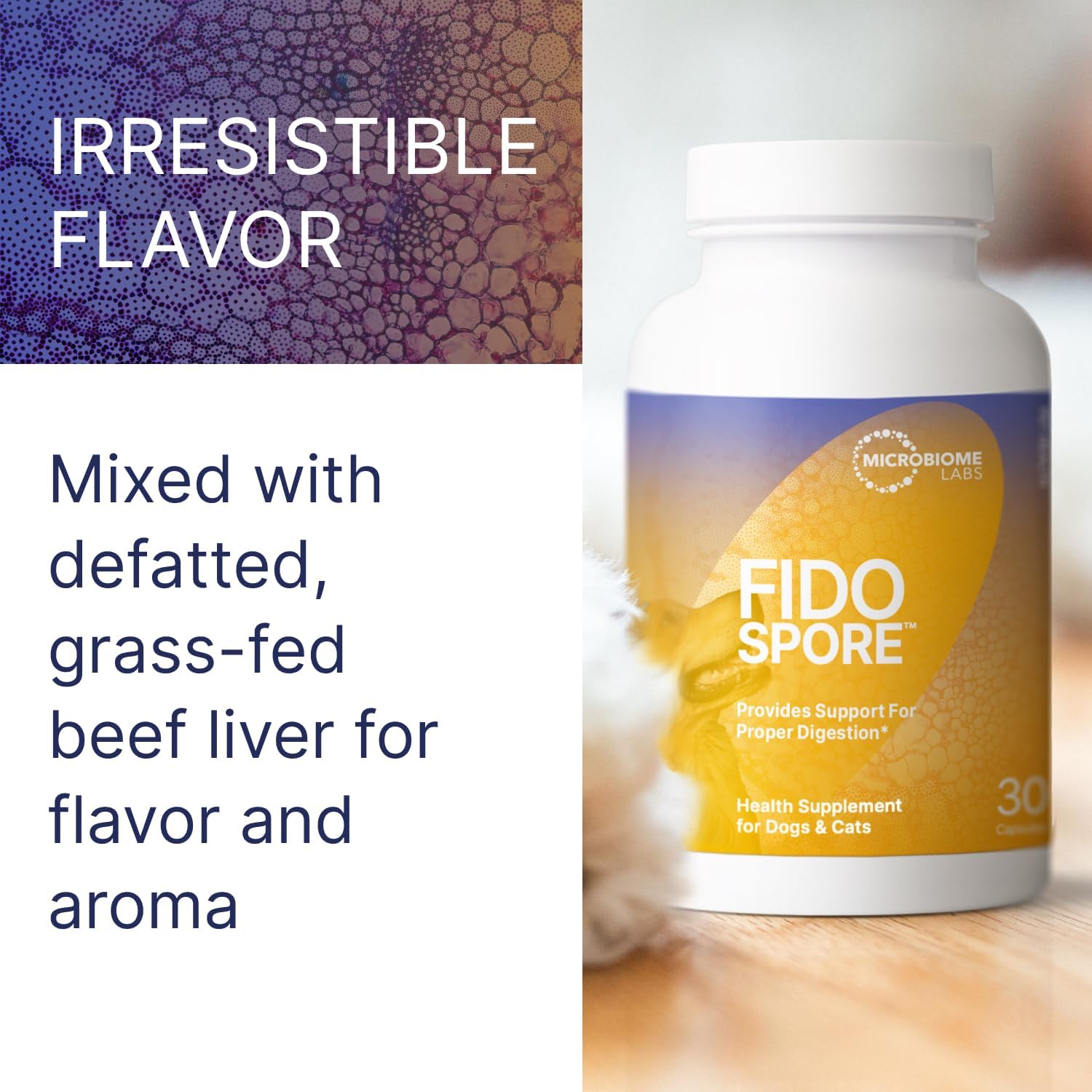 Microbiome Labs Fidospore - Dog Probiotics for Digestive Health & Immune Support - Spore-Forming Pet Probiotics for Dogs & Cats Gut Health