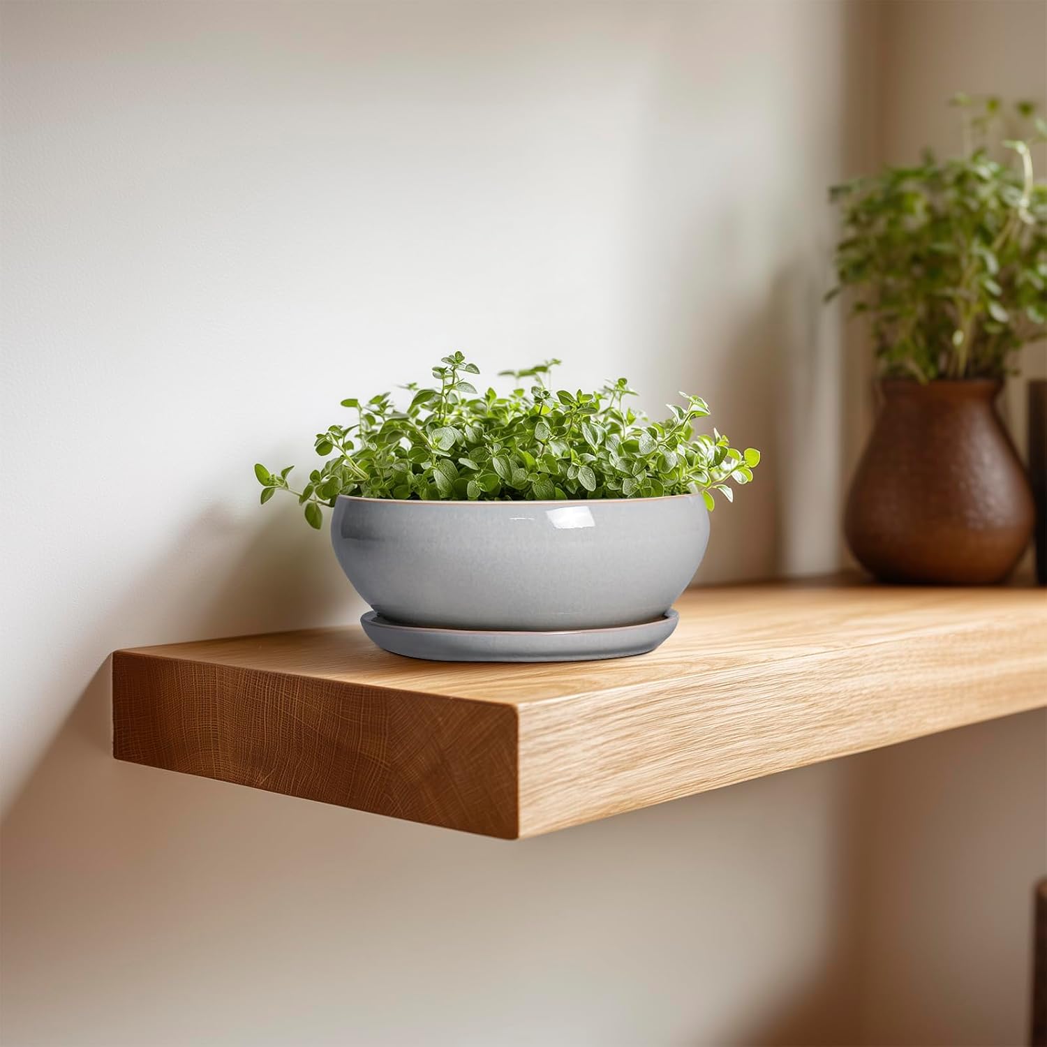SQOWL 7 Inch Round Ceramic Succulent Planter Pot Drip Glazed Shallow Planter with Drainage Bamboo Tray for Indoor Plants