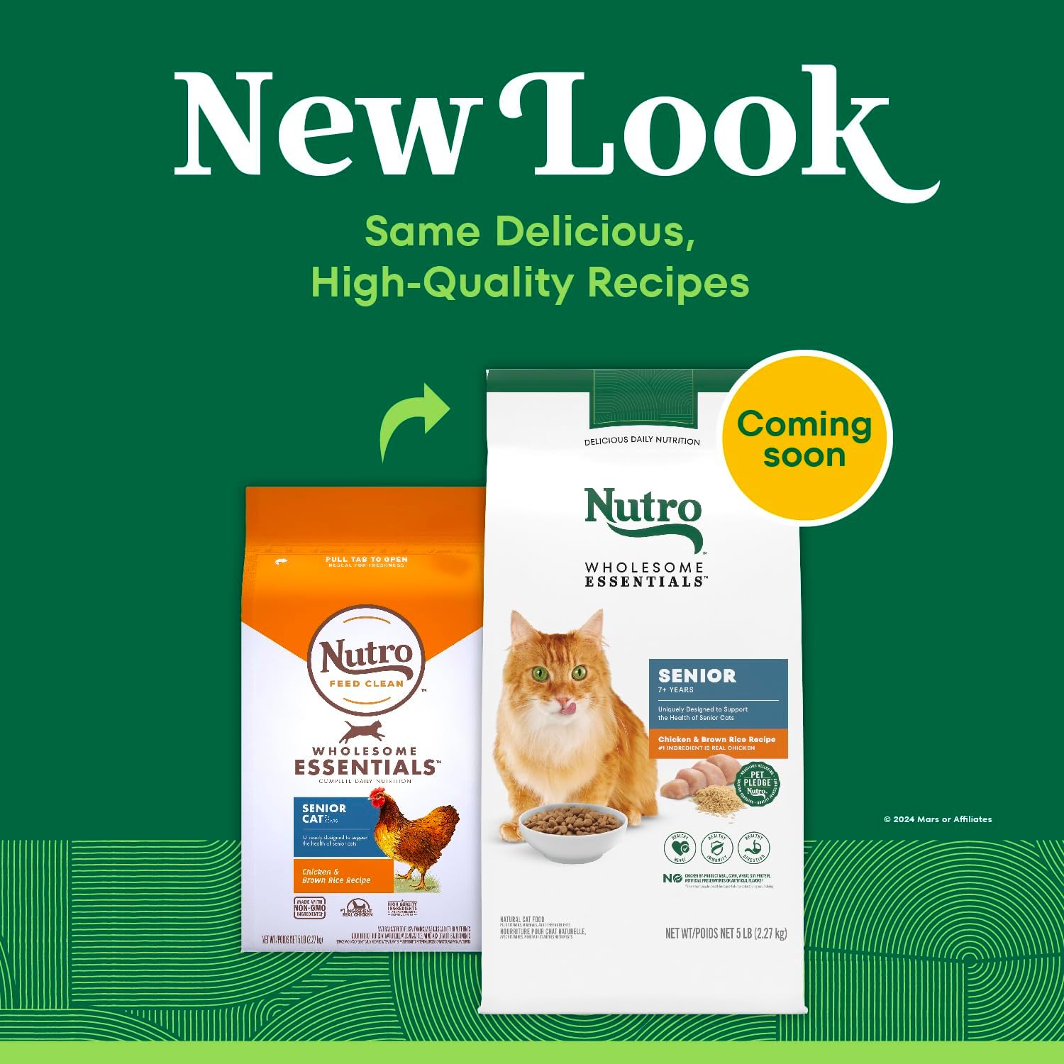 Nutro Wholesome Essentials Senior Dry Cat Food, Chicken & Rice, 14 lb | Real chicken #1 ingredient, essential antioxidants (Vitamin E & Selenium), Omega-6 for skin & coat, hairball control